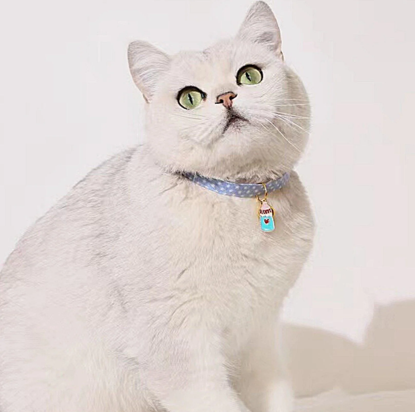 Pendant Style Adjustable Pet Collar - Image 4