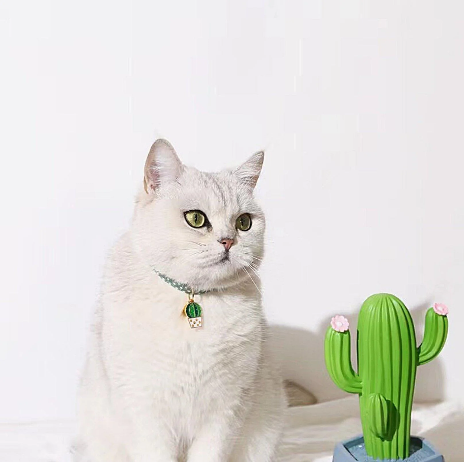 Pendant Style Adjustable Pet Collar - Image 6