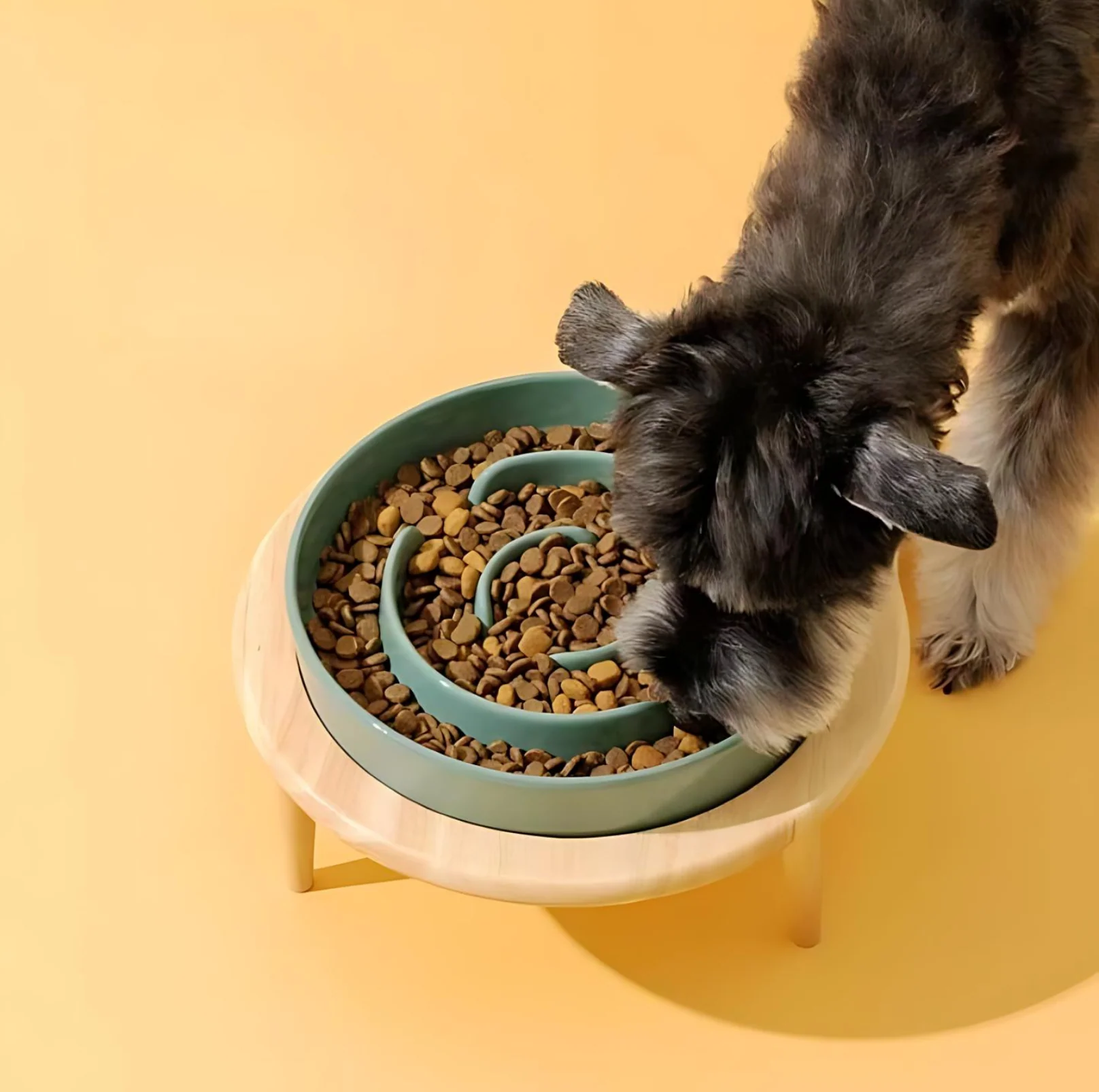 Ceramic Slow Feeder Pet Bowl for Dogs and Cats - Image 10