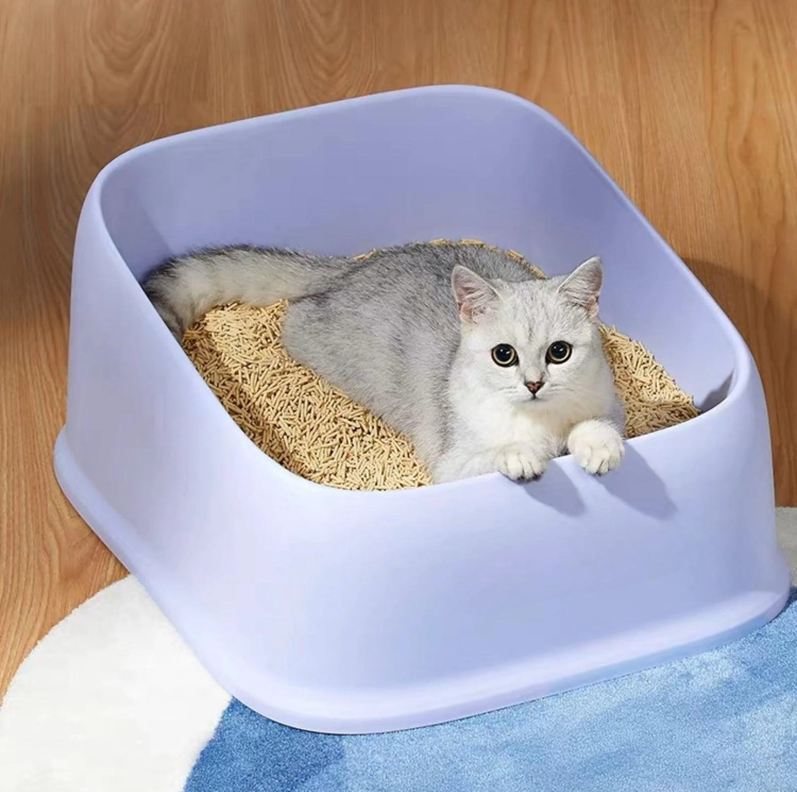 Open Cheese Toast Cat Litter Box with Large Capacity - Image 12