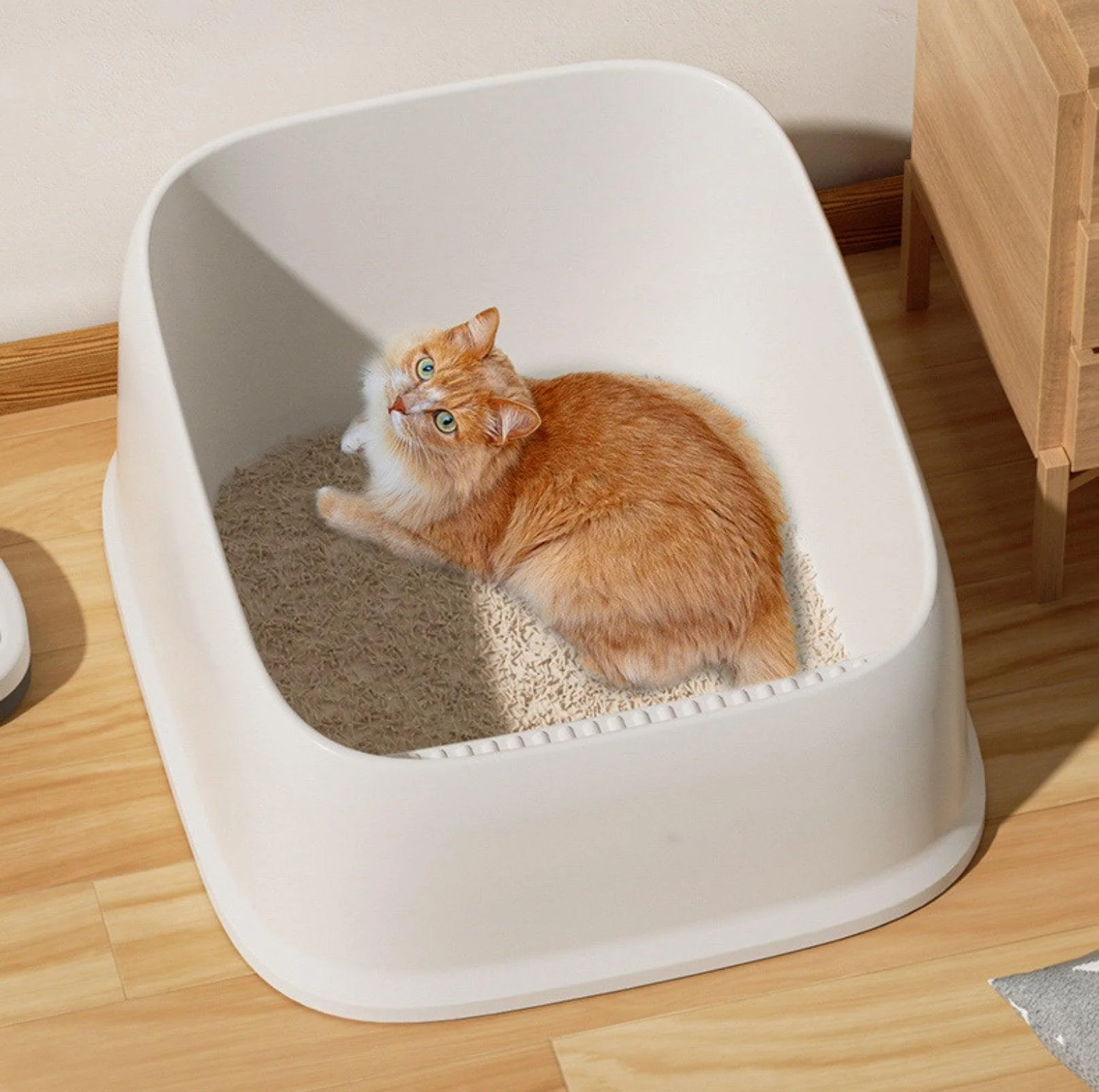 Open Cheese Toast Cat Litter Box with Large Capacity - Image 8