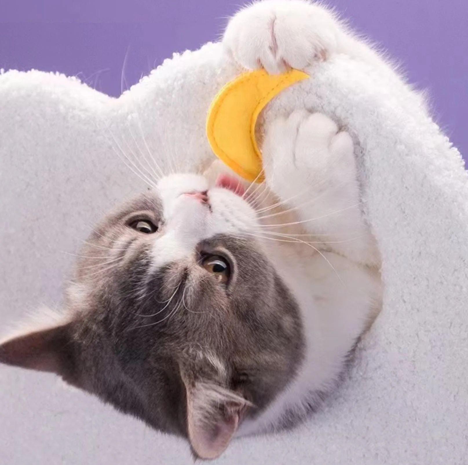 Fantasy Series Climbing Frame Cat Tree - Dreamland (Height 165cm) - Image 9