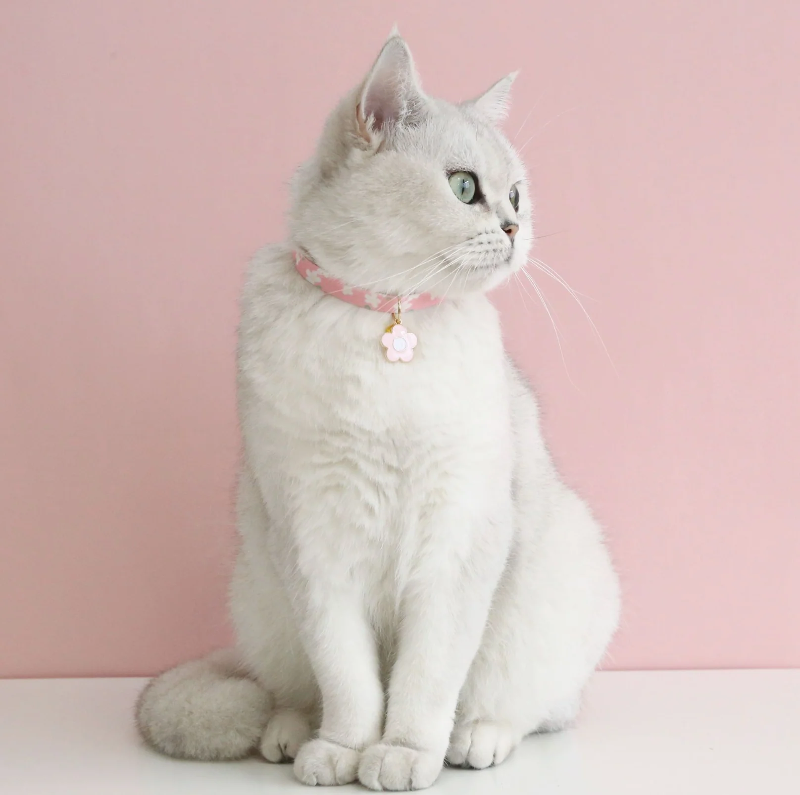 Flower Series Pendant Style Adjustable Pet Collar - Image 10