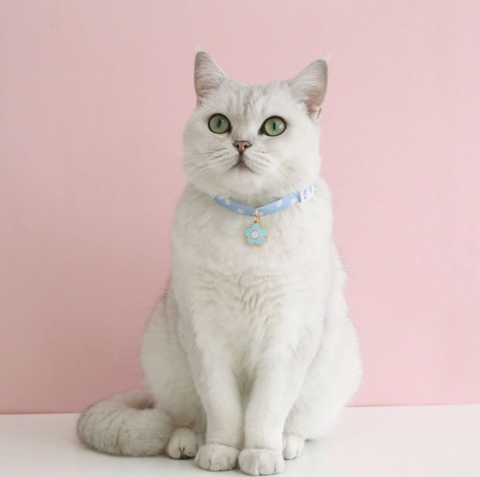 Flower Series Pendant Style Adjustable Pet Collar - Image 11