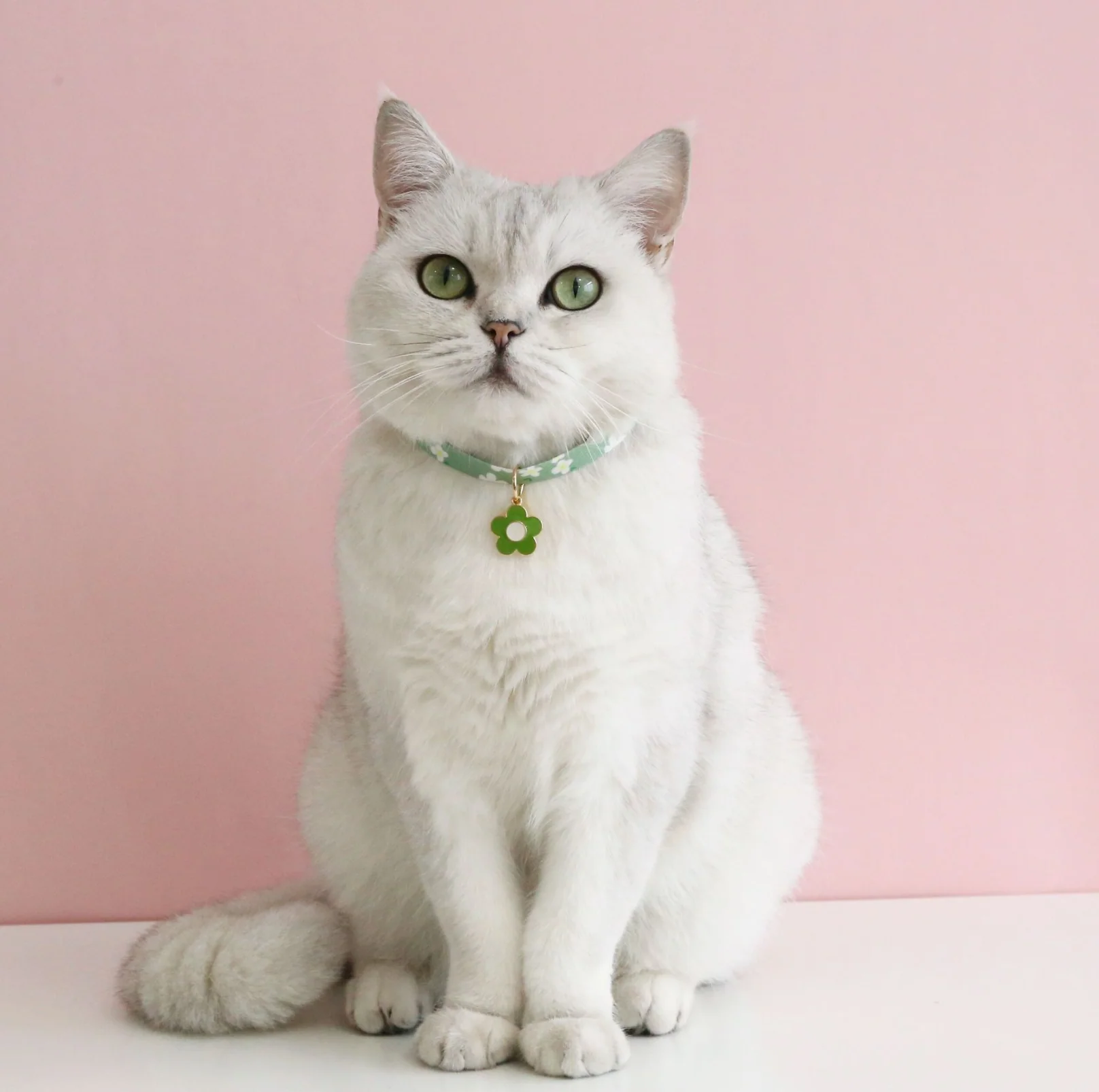 Flower Series Pendant Style Adjustable Pet Collar - Image 12