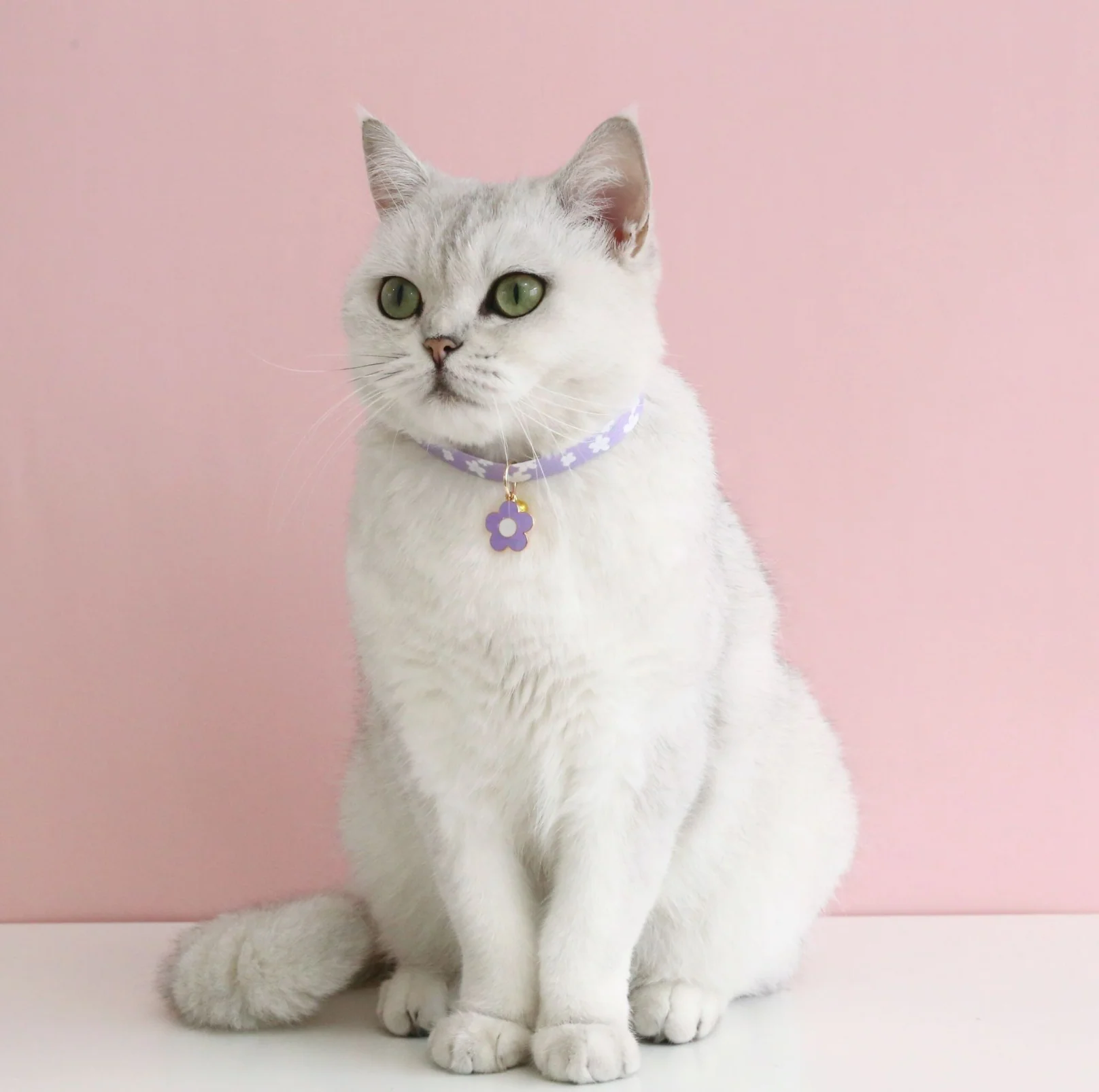 Flower Series Pendant Style Adjustable Pet Collar - Image 13