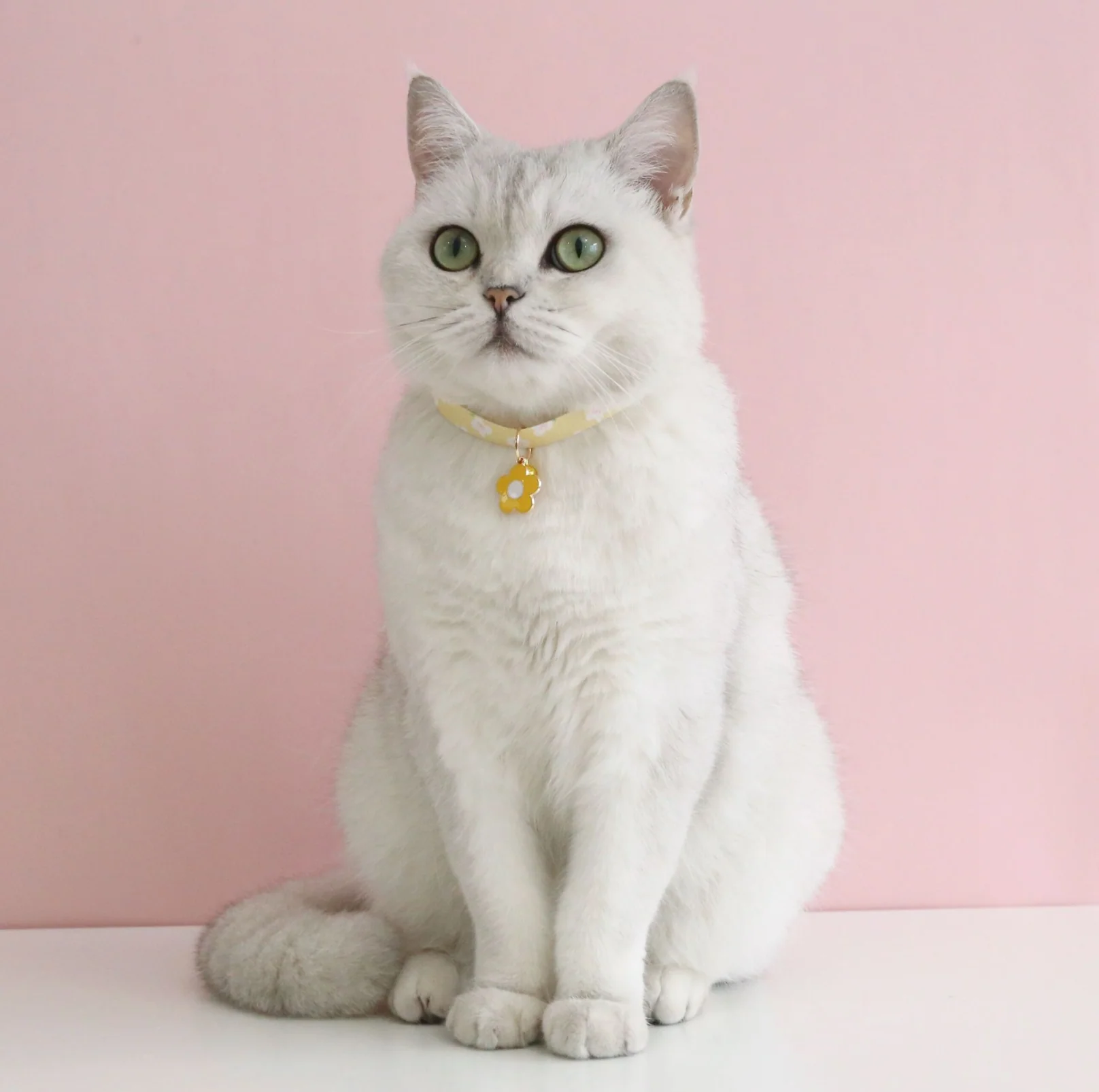 Flower Series Pendant Style Adjustable Pet Collar - Image 9