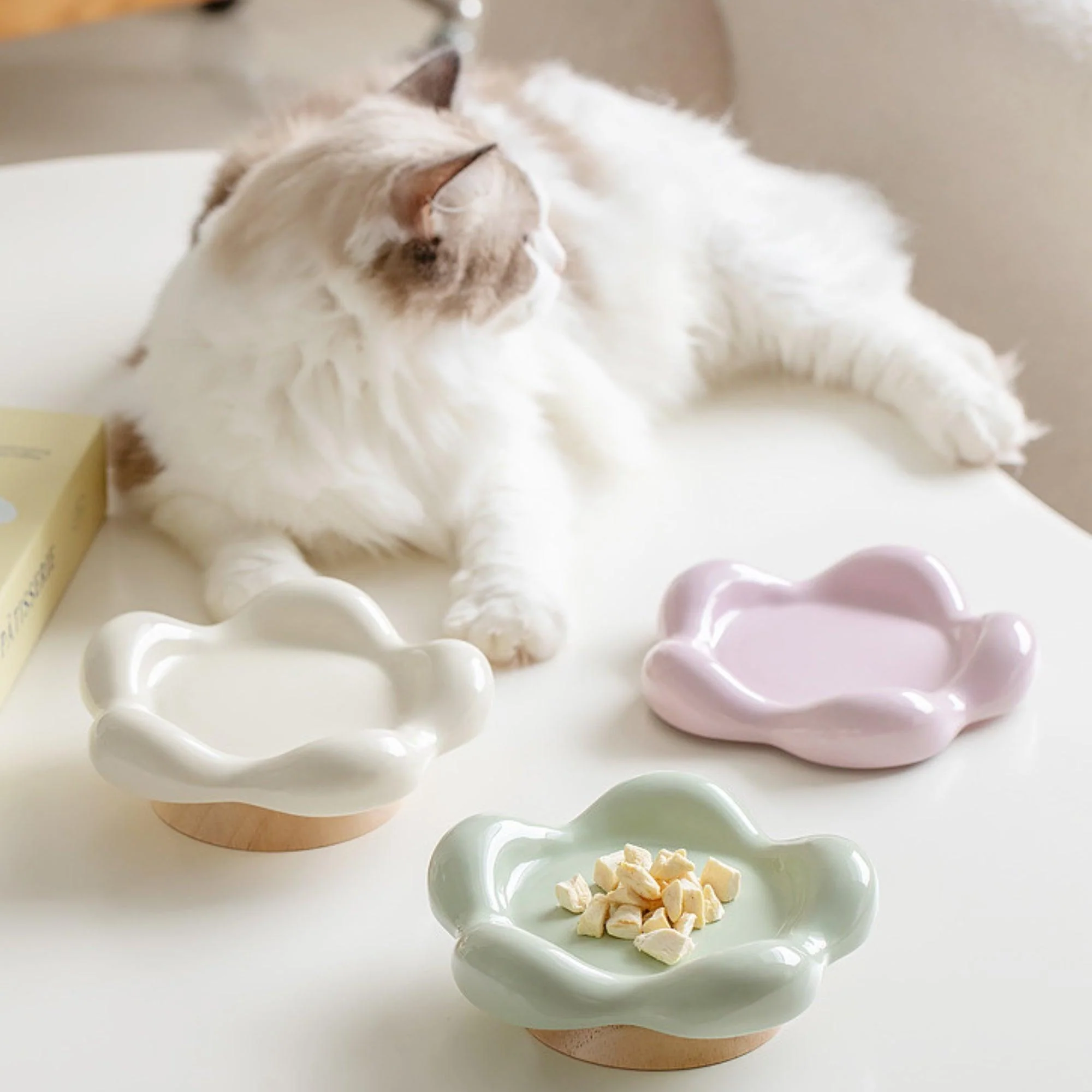 Flower-Shaped Ceramic Pet Food Plate Cat Bowl - Image 4