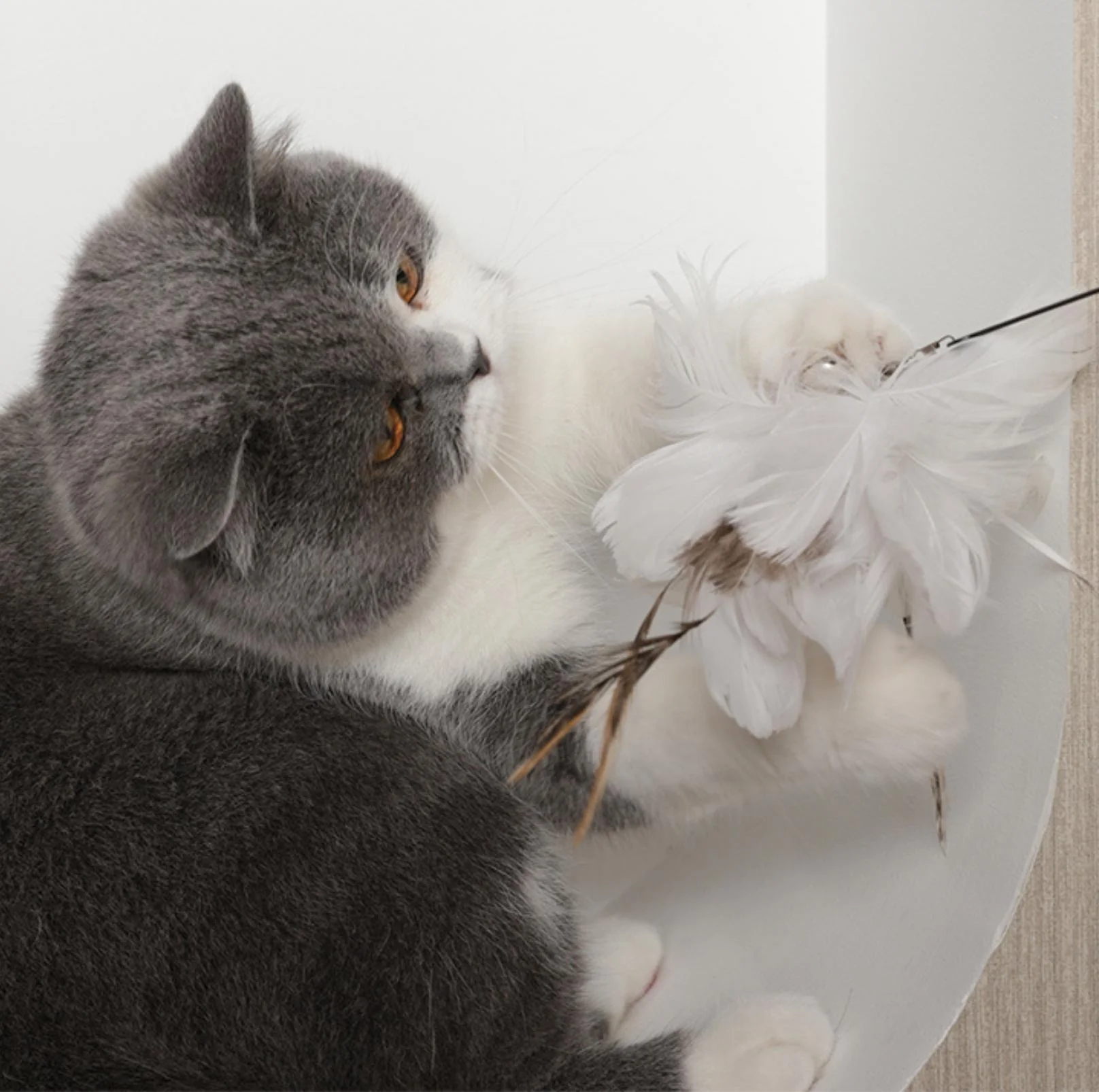 Free Your Hands: Extended Elastic Wire Cat Stick Teaser Cat Toys - Image 10