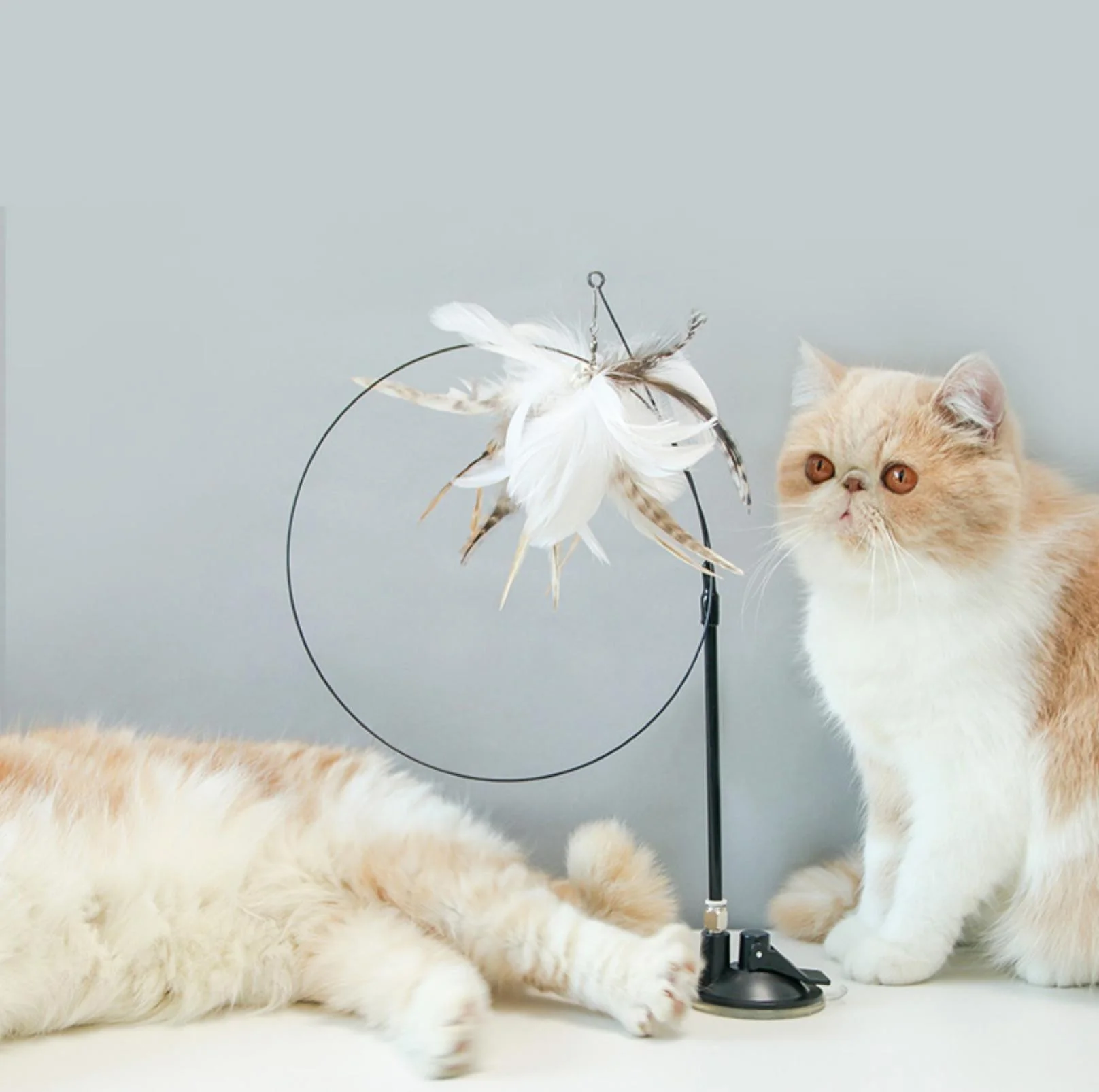 Free Your Hands: Extended Elastic Wire Cat Stick Teaser Cat Toys - Image 13