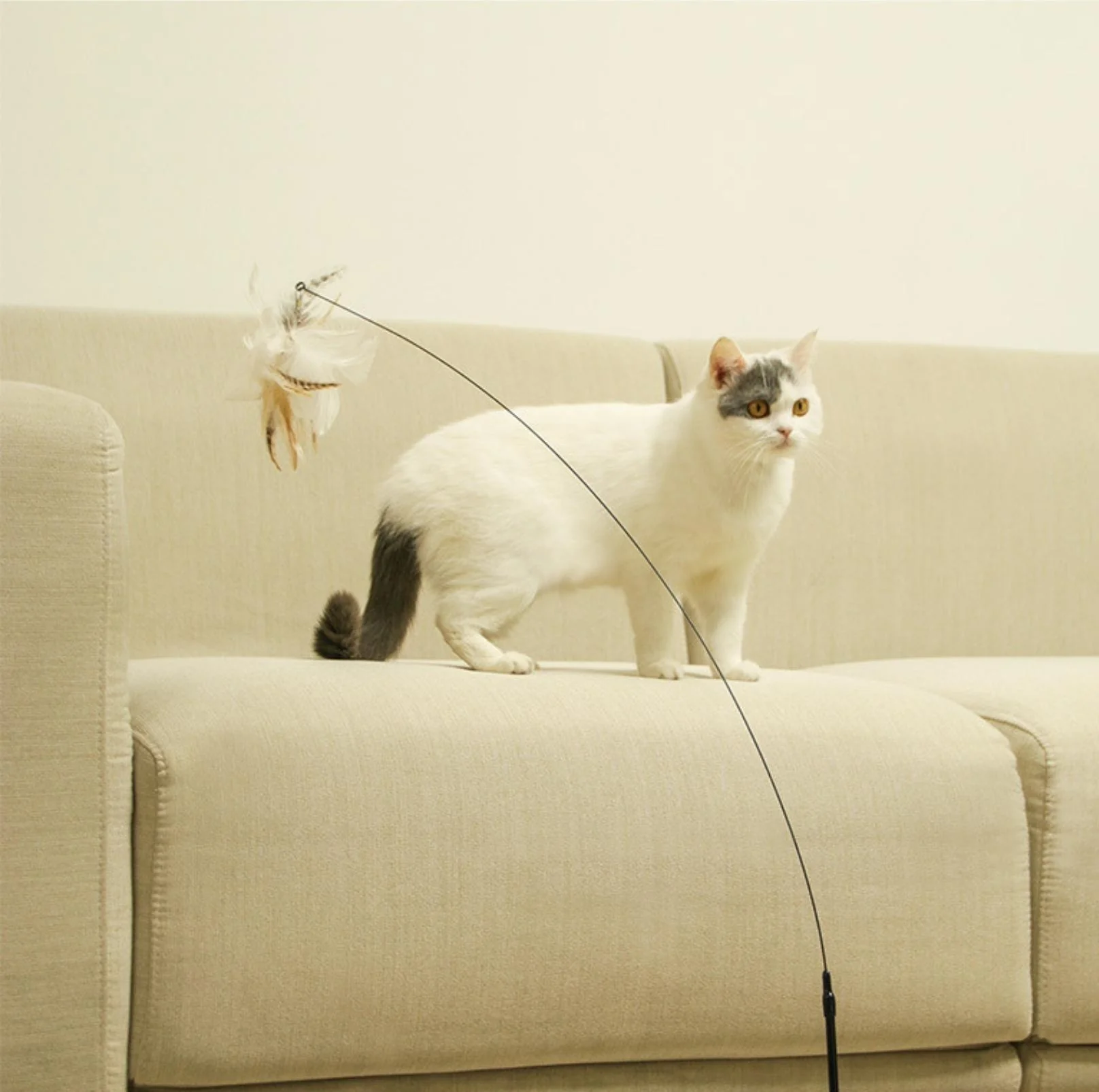 Free Your Hands: Extended Elastic Wire Cat Stick Teaser Cat Toys - Image 3