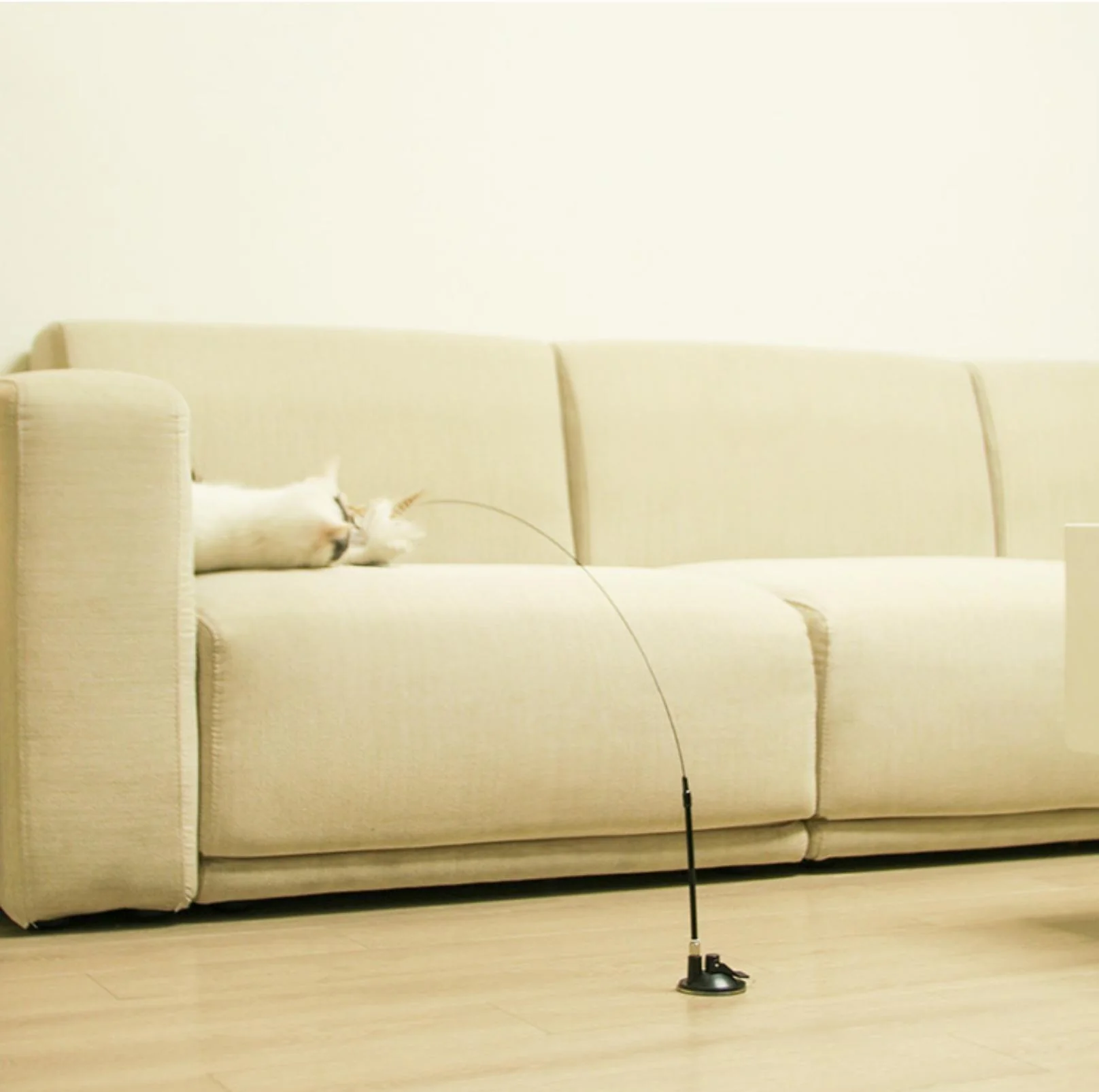 Free Your Hands: Extended Elastic Wire Cat Stick Teaser Cat Toys - Image 4