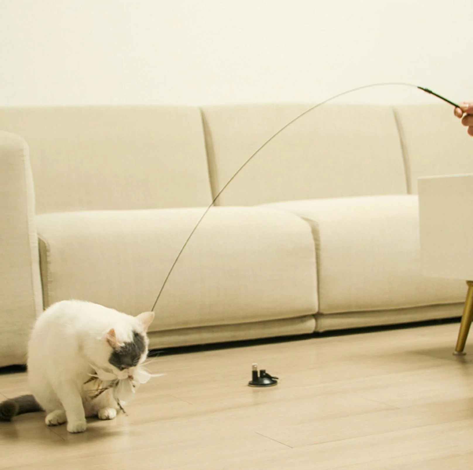 Free Your Hands: Extended Elastic Wire Cat Stick Teaser Cat Toys - Image 5