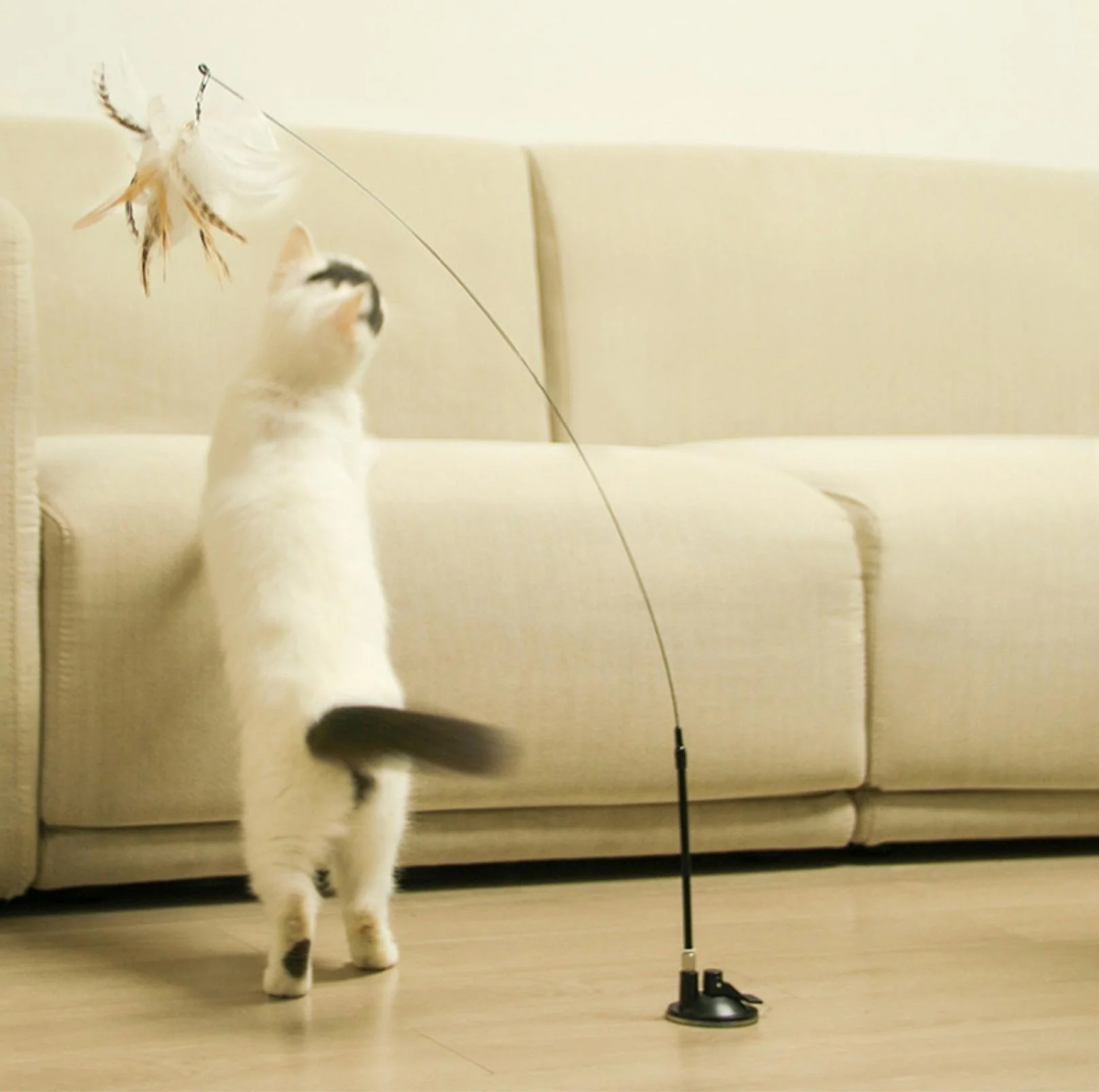 Free Your Hands: Extended Elastic Wire Cat Stick Teaser Cat Toys - Image 6
