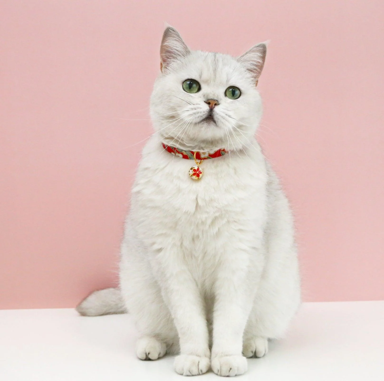 Japanese Style Adjustable Pet Flower Hollow Bell Collar - Image 14