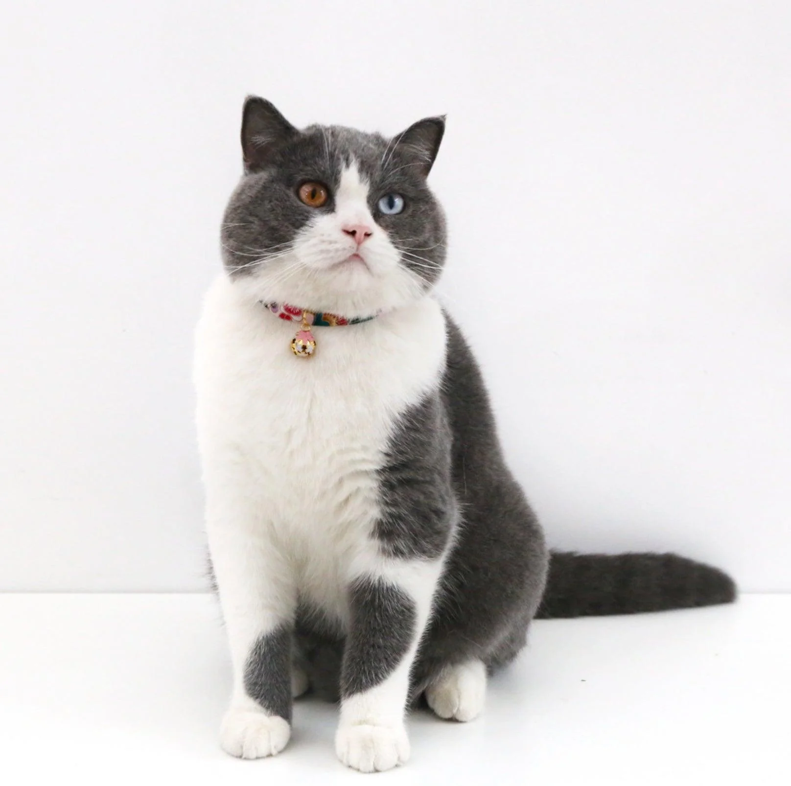 Japanese Style Adjustable Pet Flower Hollow Bell Collar - Image 15