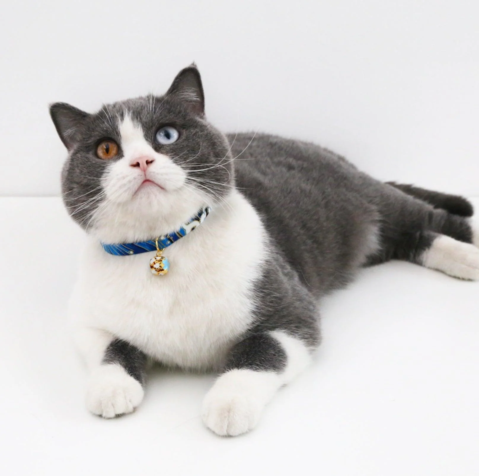 Japanese Style Adjustable Pet Flower Hollow Bell Collar - Image 16