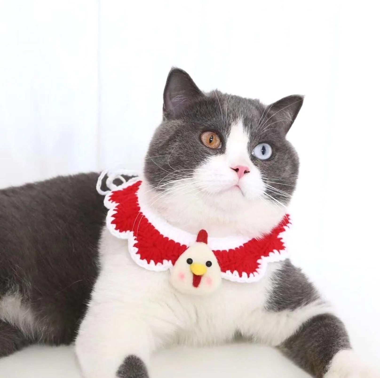 Little Animal Friends Style Knitted Woolen Bibs for Pets - Image 3