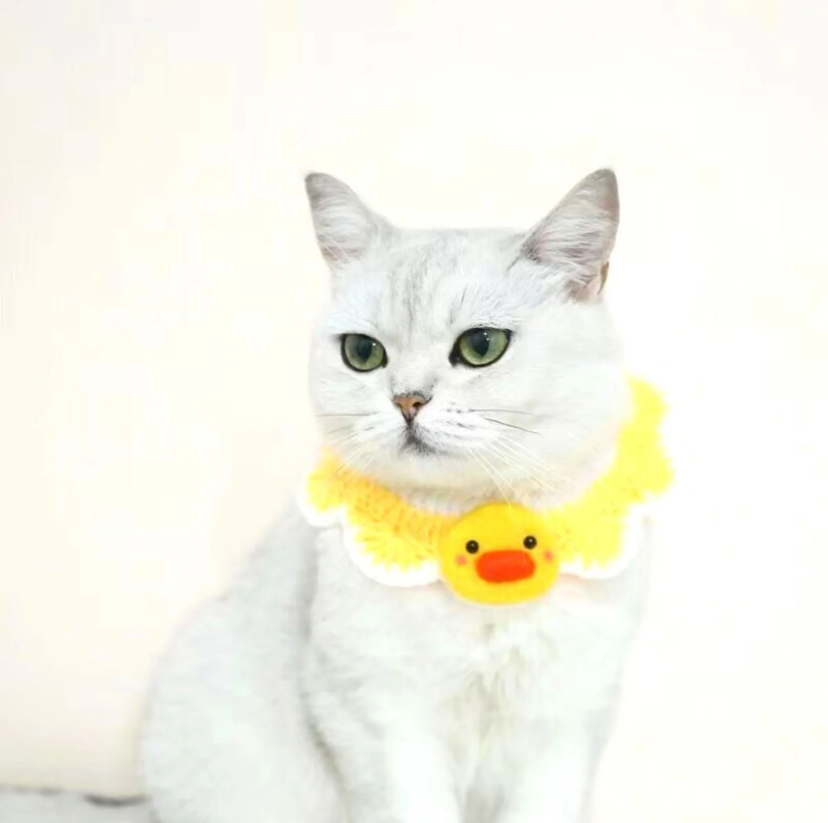 Little Animal Friends Style Knitted Woolen Bibs for Pets - Image 5