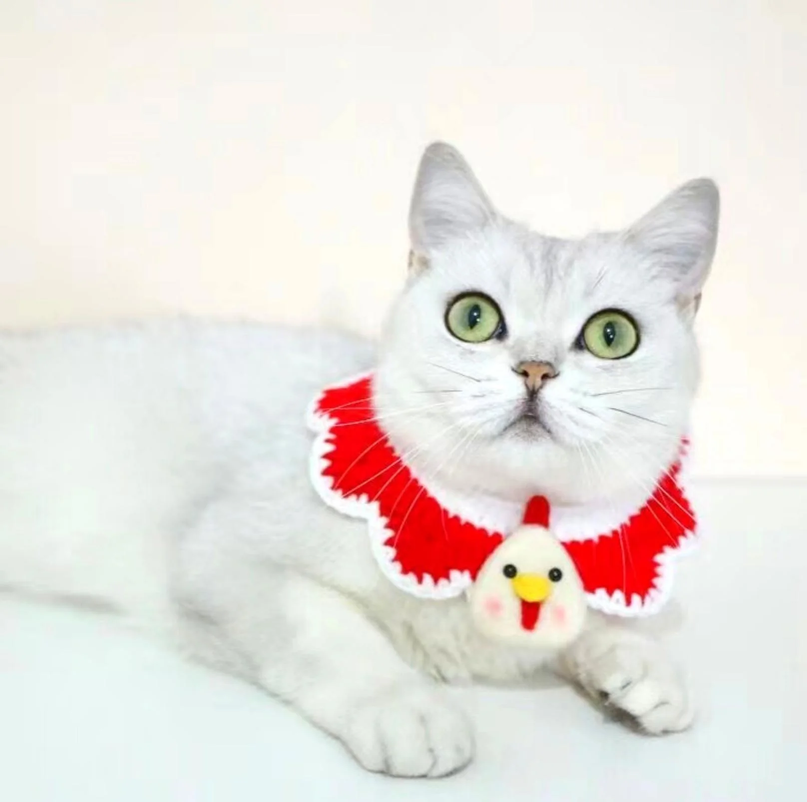 Little Animal Friends Style Knitted Woolen Bibs for Pets - Image 6