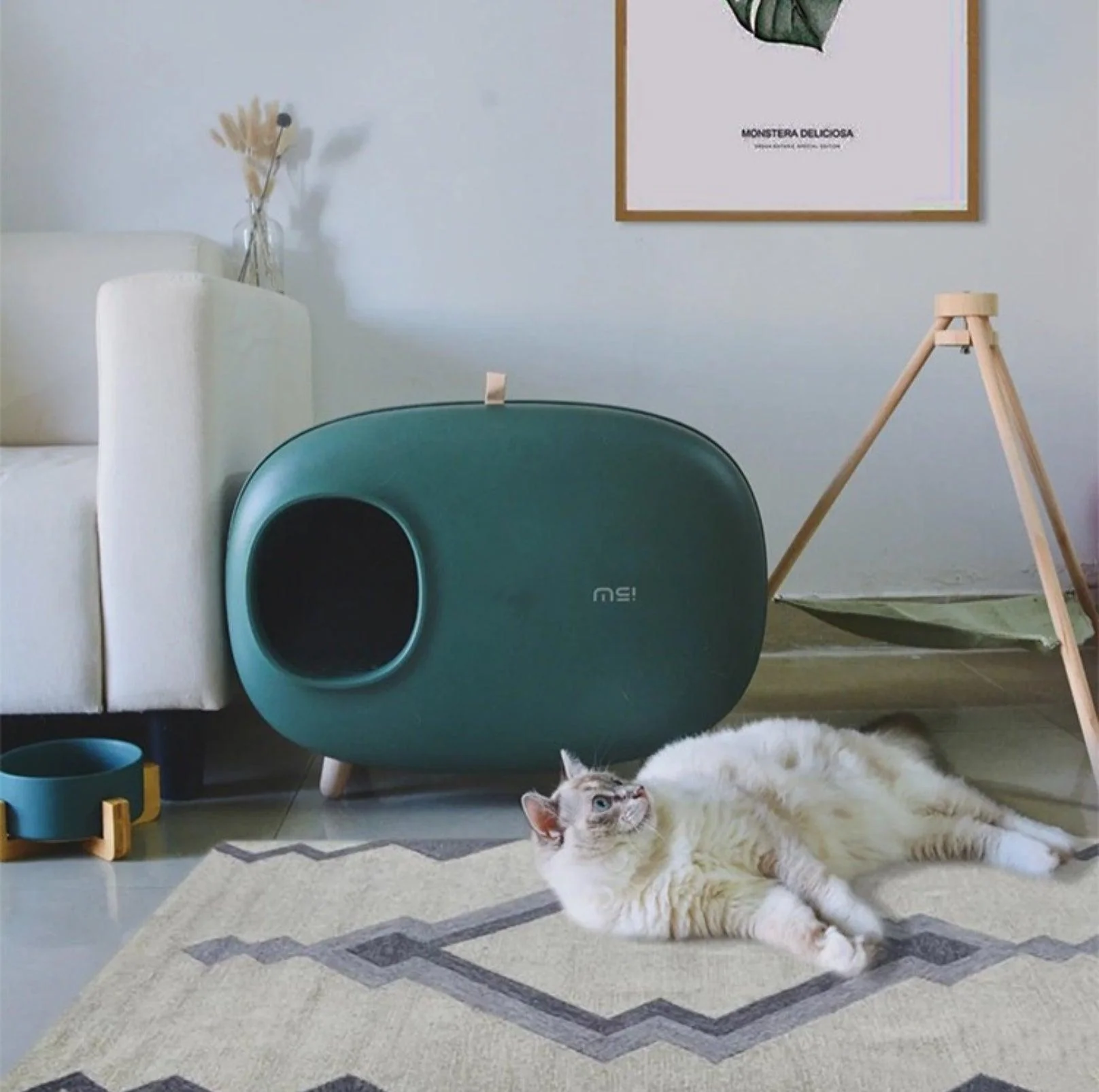 Makesure Cat Litter Box Cat Litter Tray - Image 3