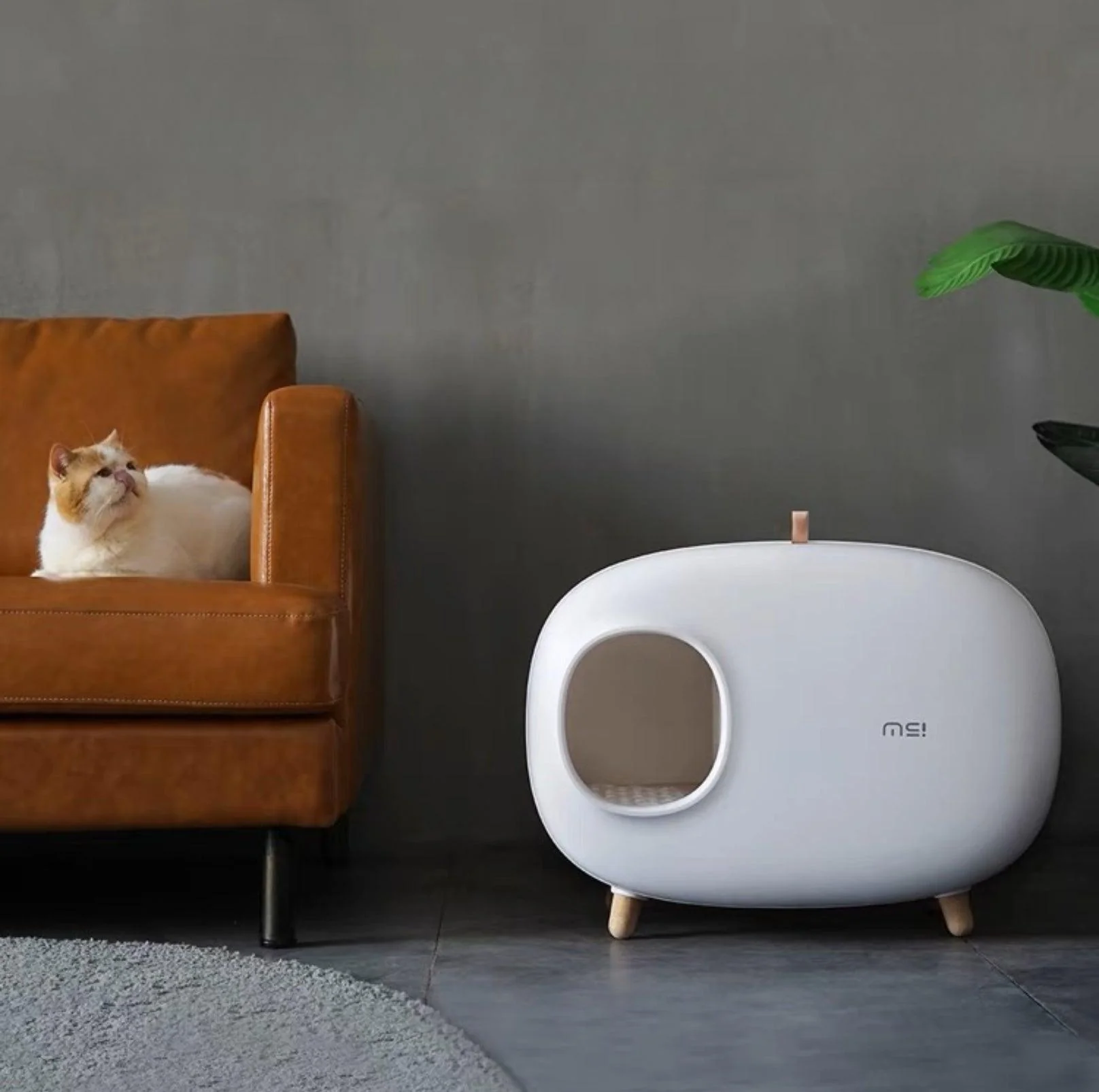 Makesure Cat Litter Box Cat Litter Tray - Image 7