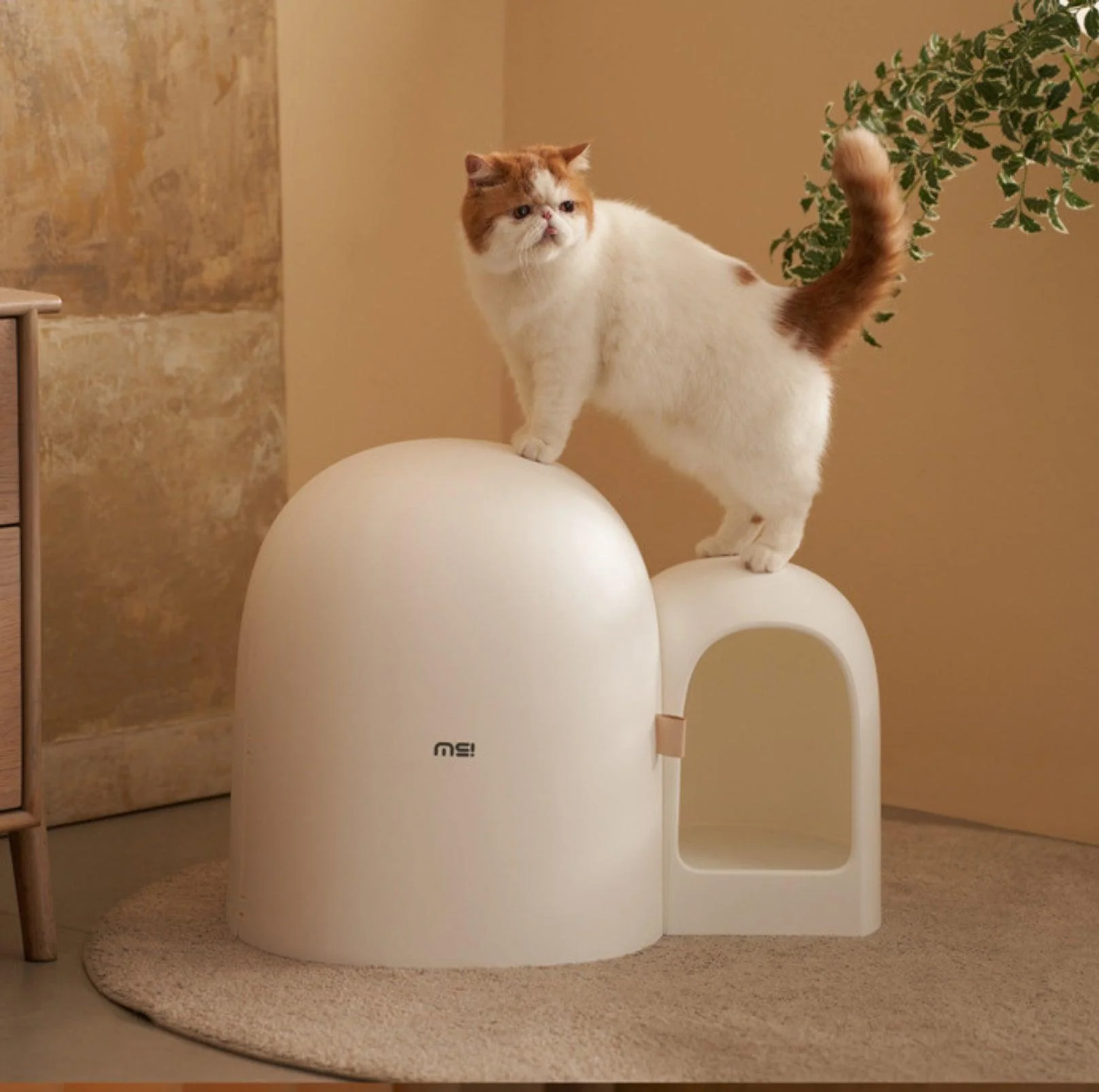 Makesure Cat Litter Box MAX - Image 4