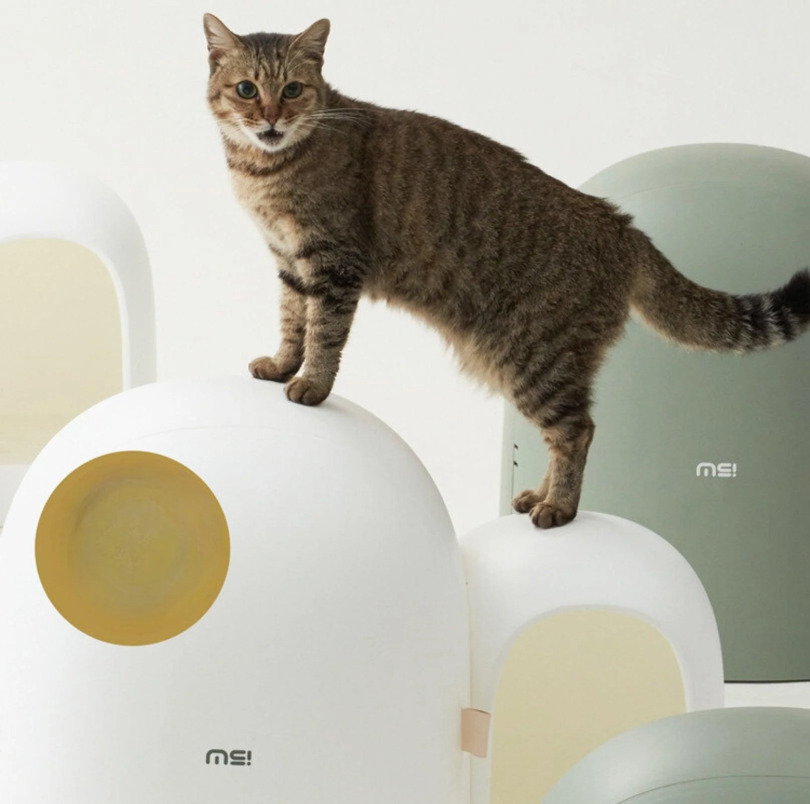 Makesure Cat Litter Box MAX - Image 9