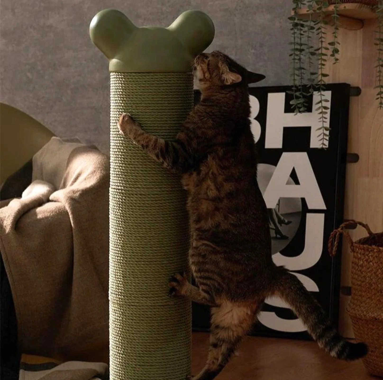 Makesure Nino Cat Scratching Post | Cat Tree - Image 7