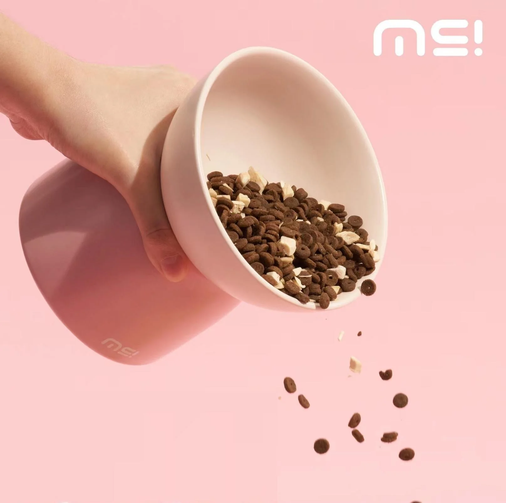 Makesure Sugar Bean Ceramic Double Pet Bowls For Cat and Small Dogs - Image 14