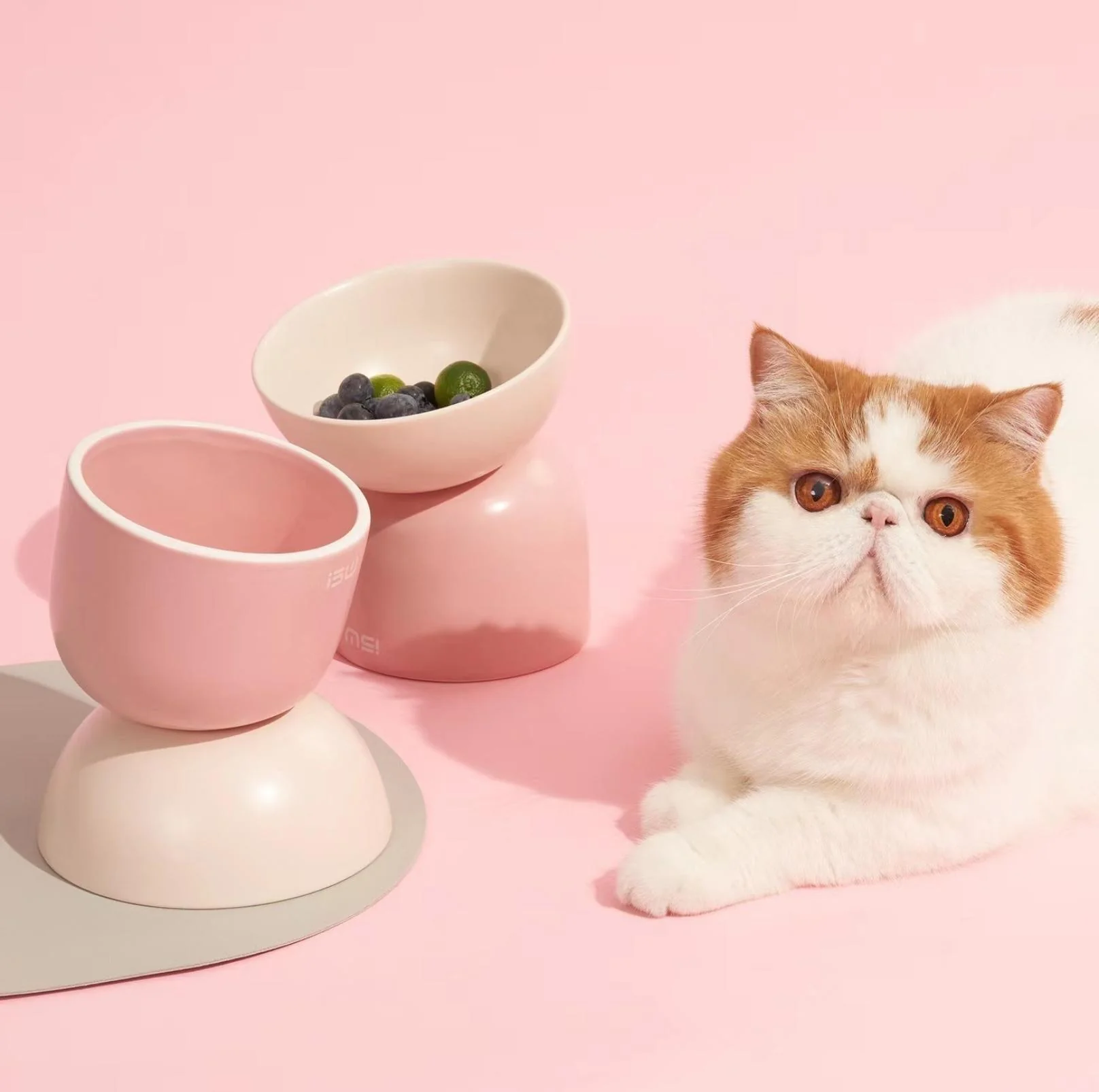 Makesure Sugar Bean Ceramic Double Pet Bowls For Cat and Small Dogs - Image 15