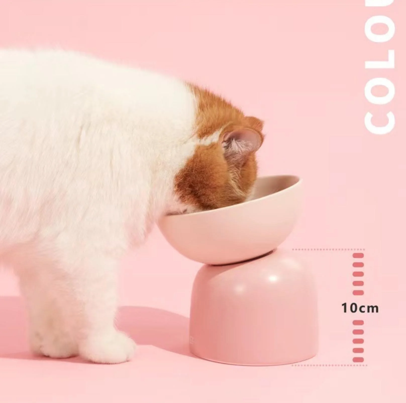 Makesure Sugar Bean Ceramic Double Pet Bowls For Cat and Small Dogs - Image 16