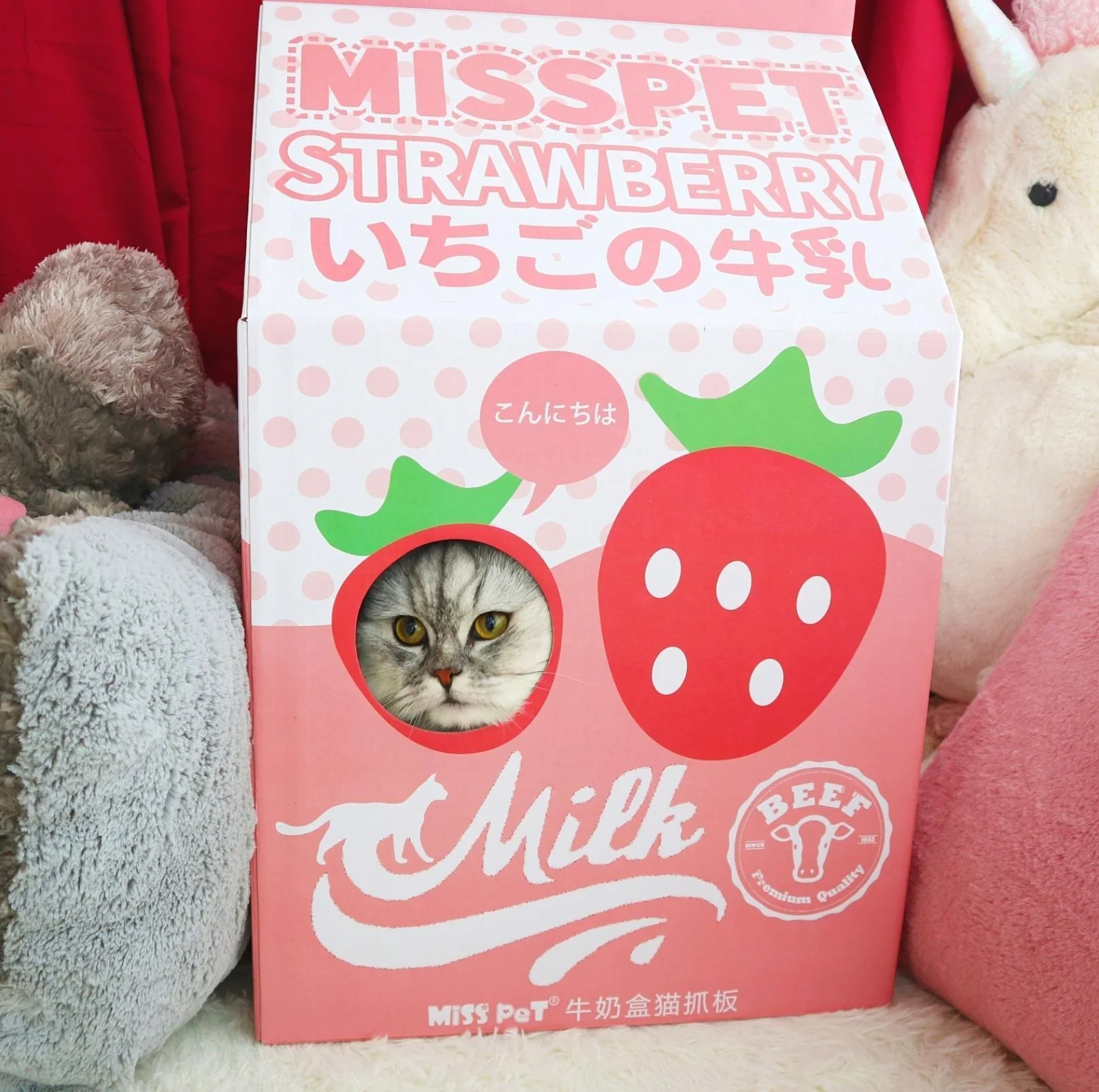 Misspet Milk Box | Cat Scratcher and Nest - Image 8