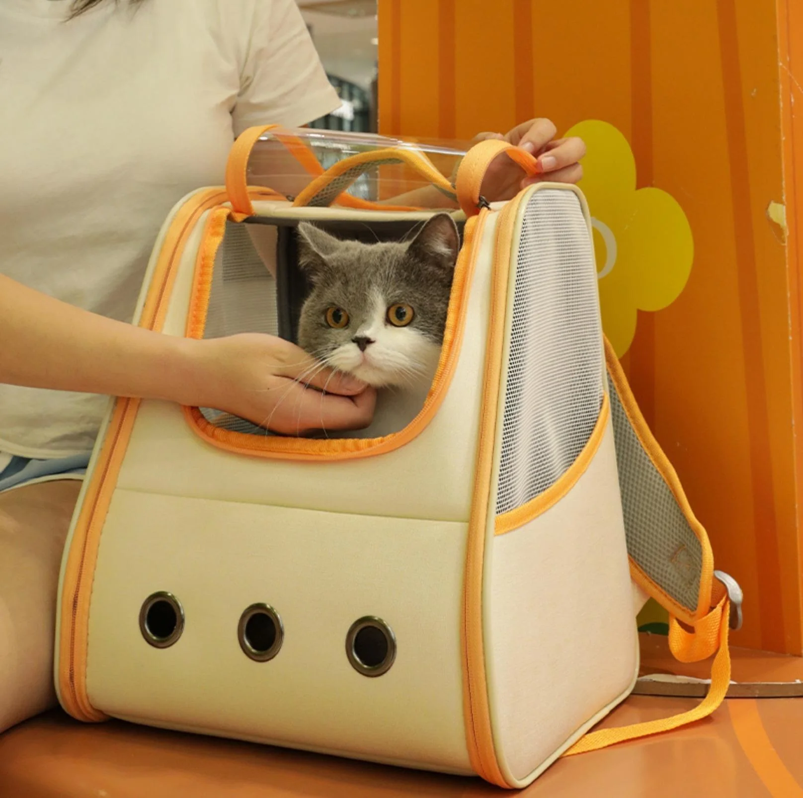 Car-Accessible Shoulder Bag Style Cat Carrier Small Dog Carrier - Image 8