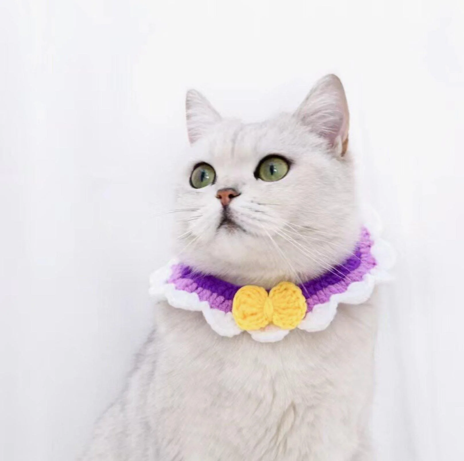 Pet Knitted Woolen Bibs - Image 4