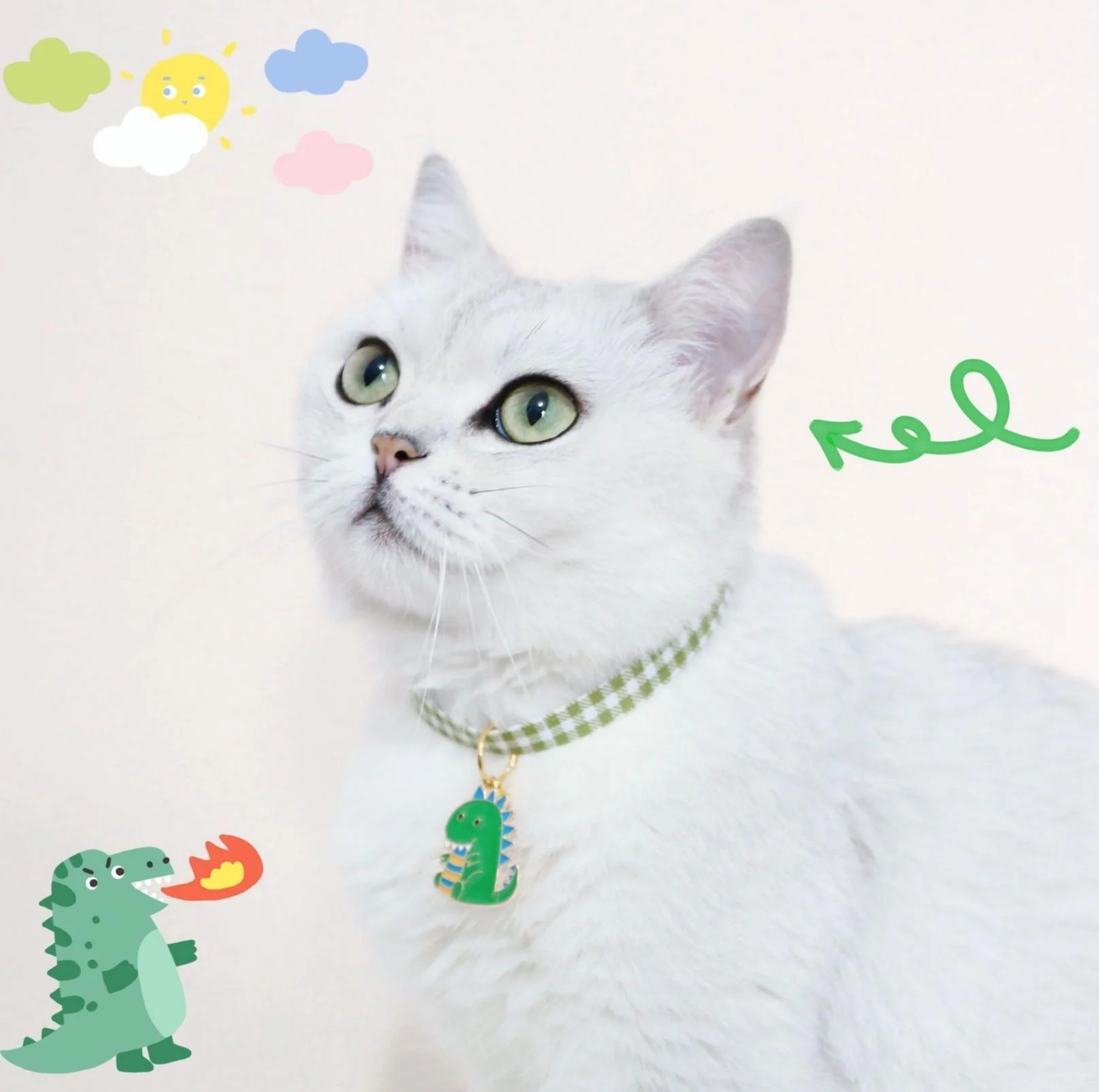 Pet Animal Shape Pendant Necklace With Candy Coloured - Image 13