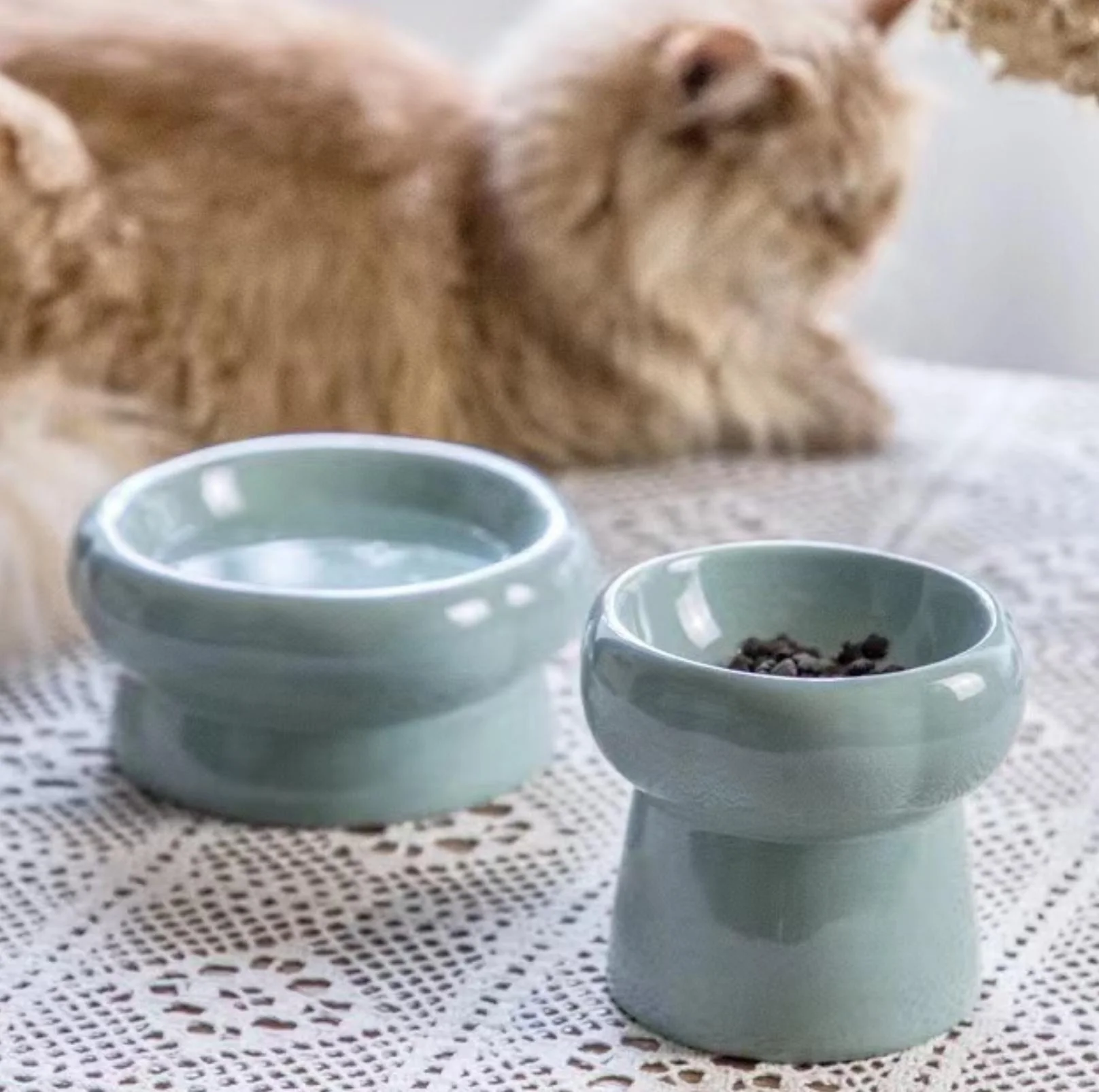Petal Style Ceramic Cat Bowls and Small Dog Bowls - Image 12