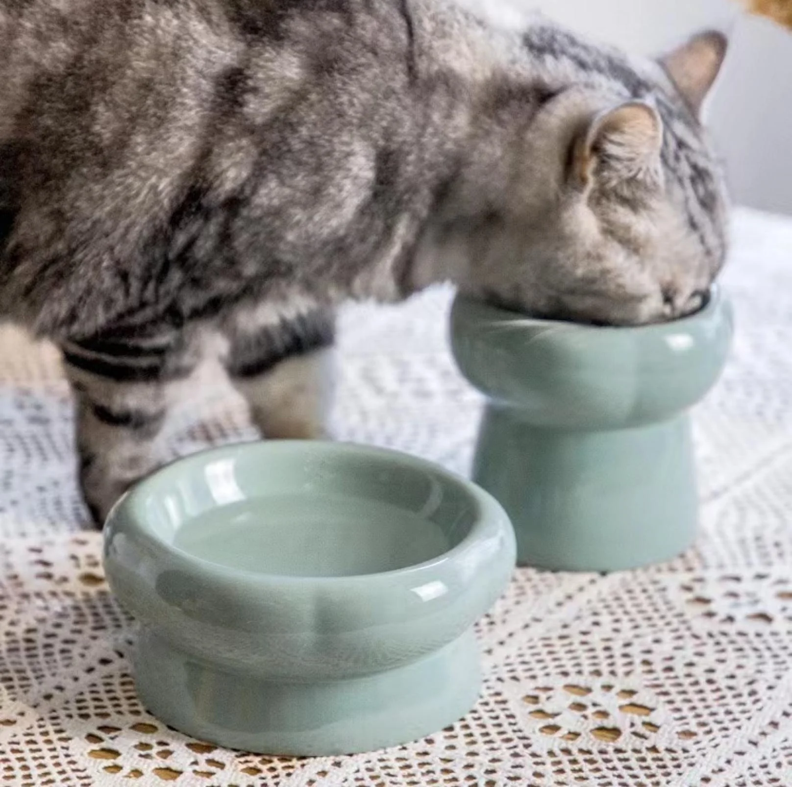 Petal Style Ceramic Cat Bowls and Small Dog Bowls - Image 14