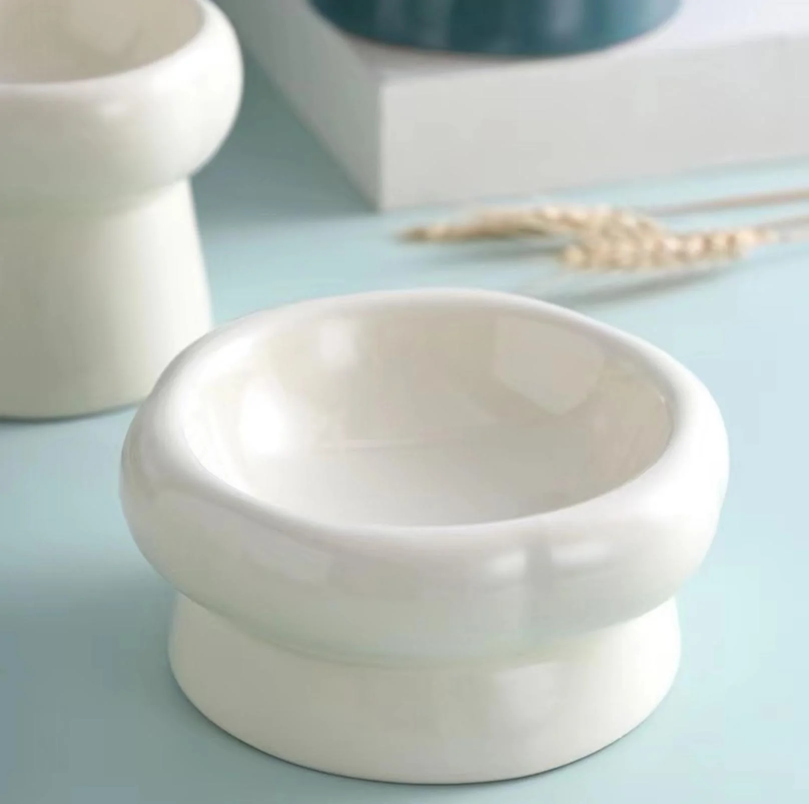 Petal Style Ceramic Cat Bowls and Small Dog Bowls - Image 15