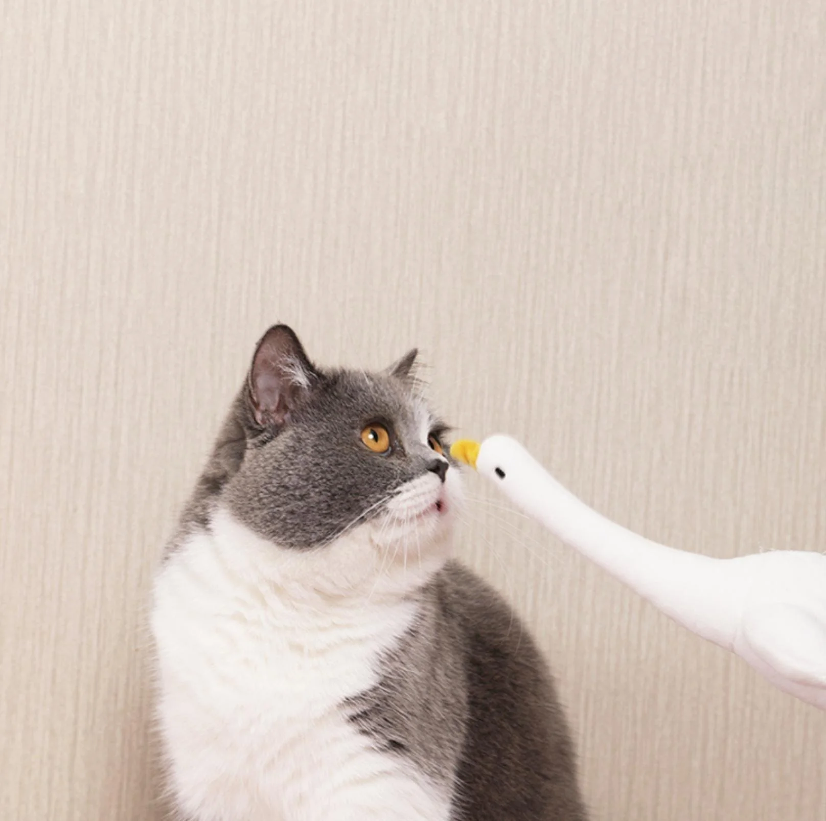 PurLab Cuddle Goose Cat Toy With Catnip - Image 6