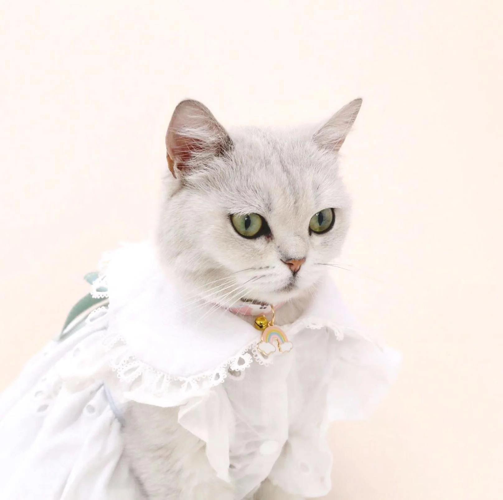 Rainbow Cloud Pendant Adjustable Pet Necklace - Image 7