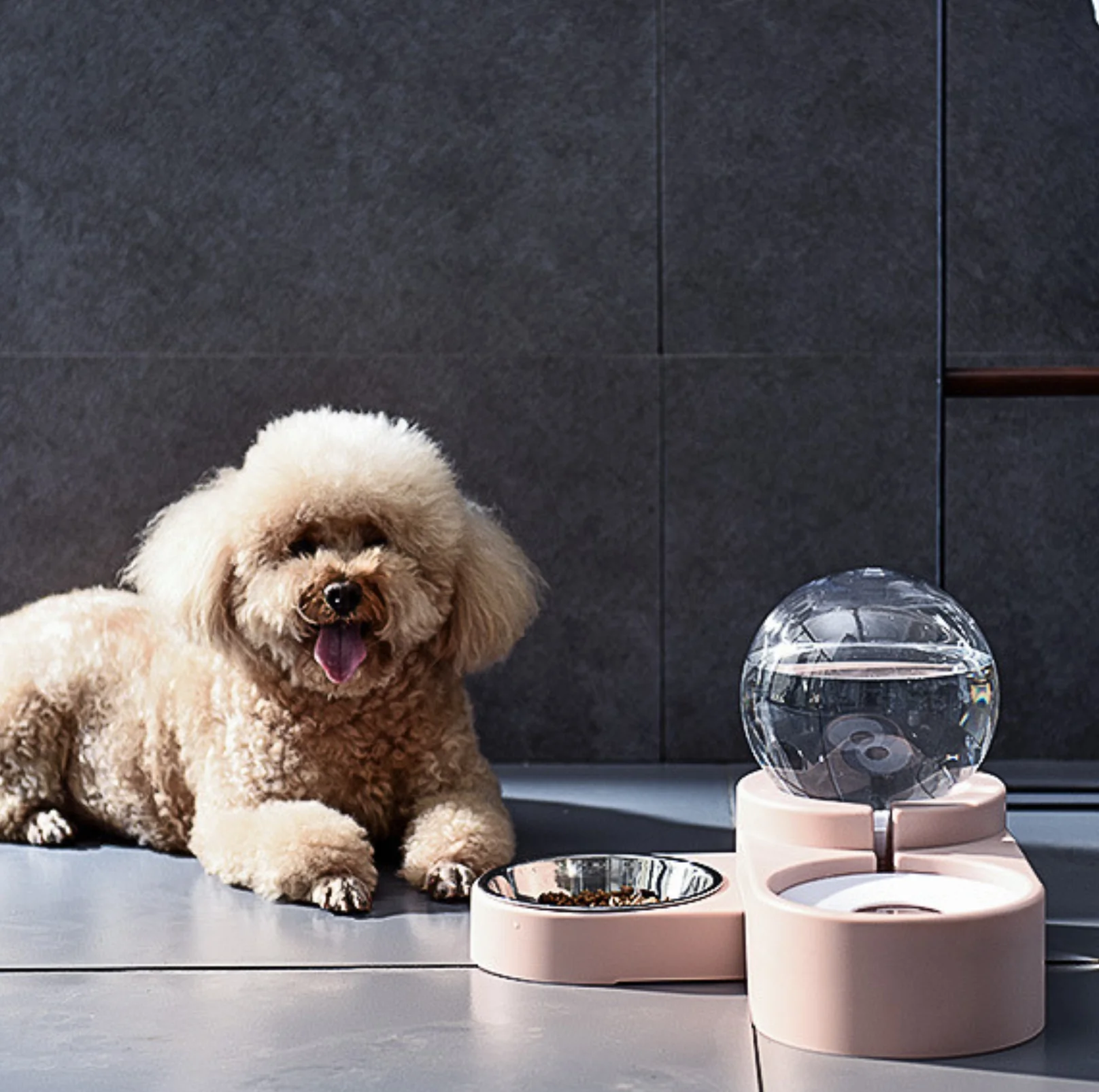 Spherical Double Cat and Small Dog Bowl With Automatic Water Refill - Image 7