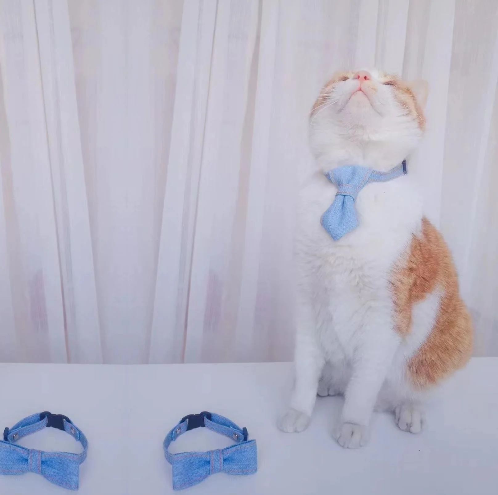 Stunning Denim Series Adjustable Pet Collars - Image 10