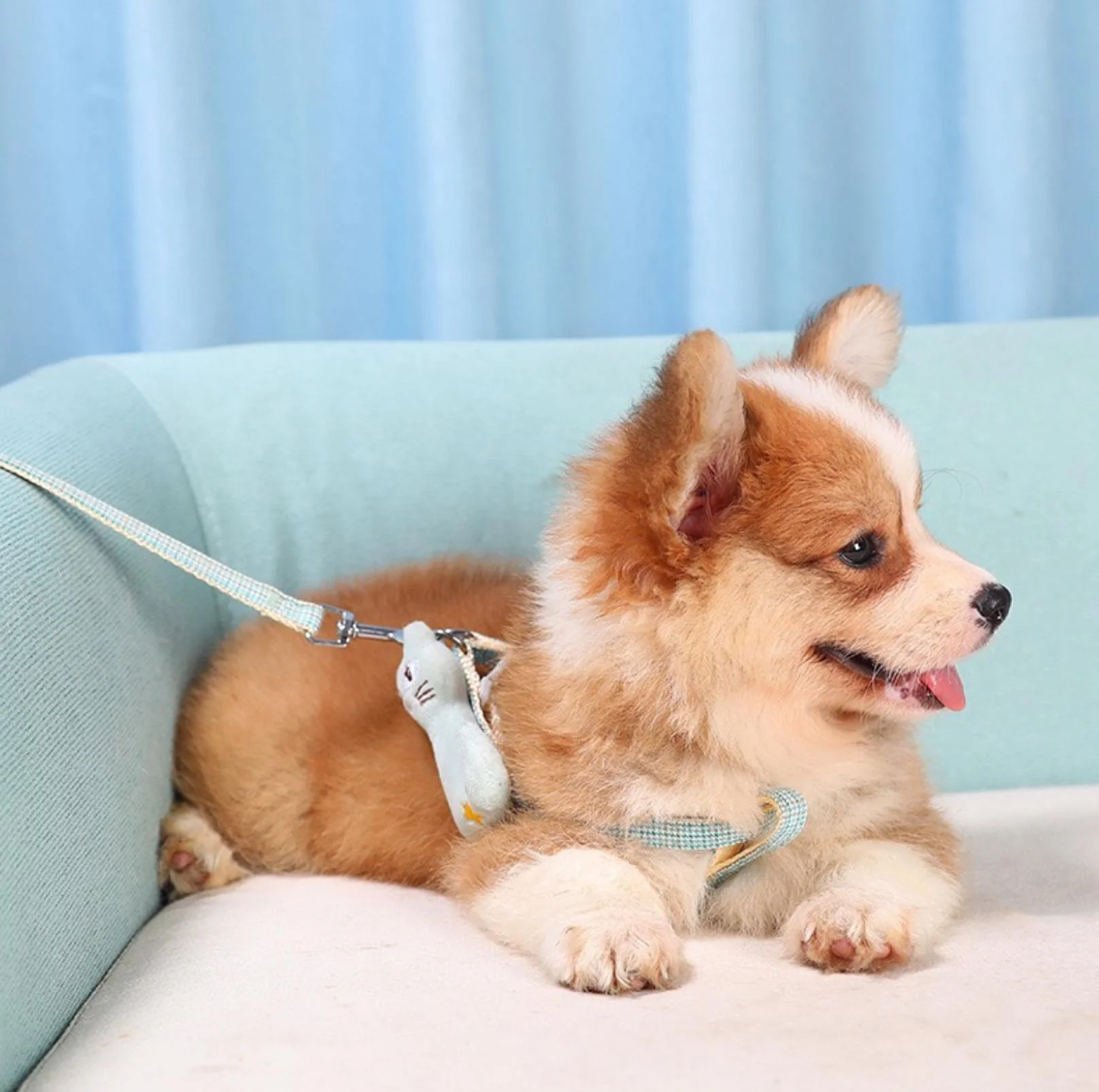 Stunning Pet Leash with Embroidered Cartoon - Image 3