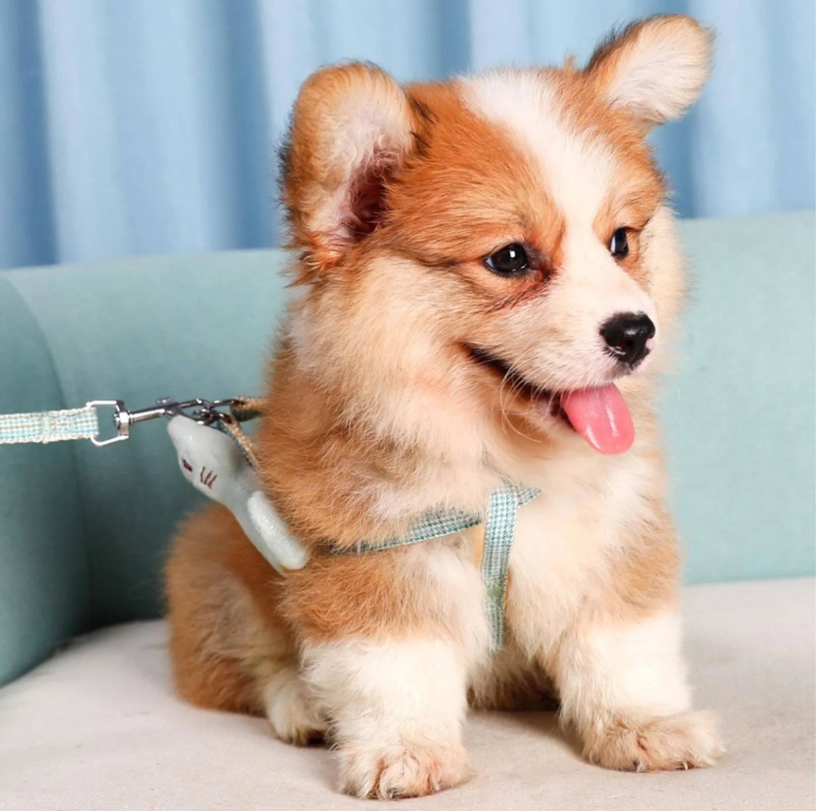 Stunning Pet Leash with Embroidered Cartoon - Image 4