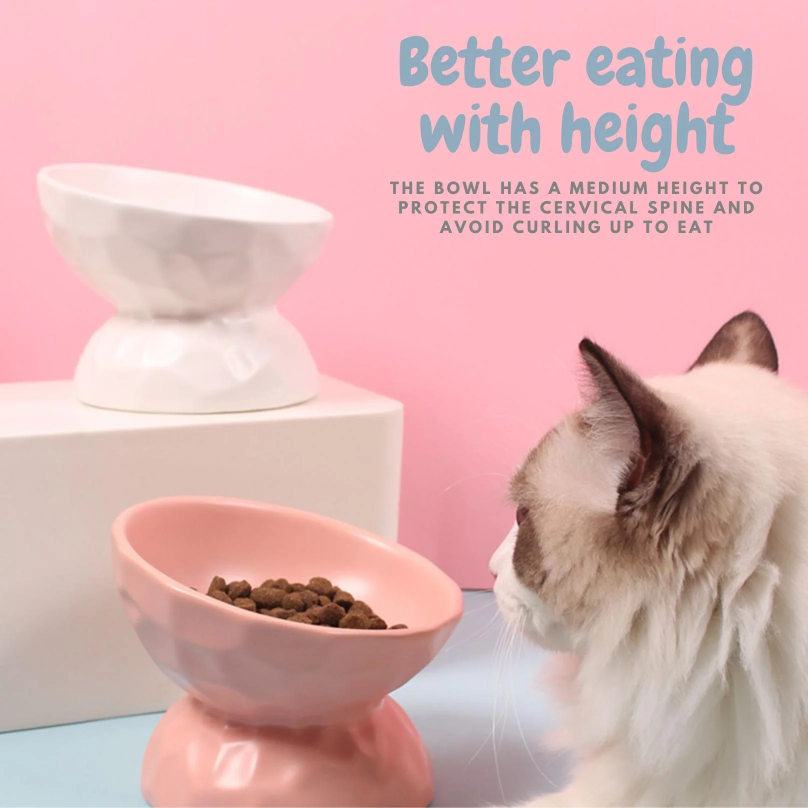 Tilting Ceramic Cat Bowls With Uneven Texture - Image 11