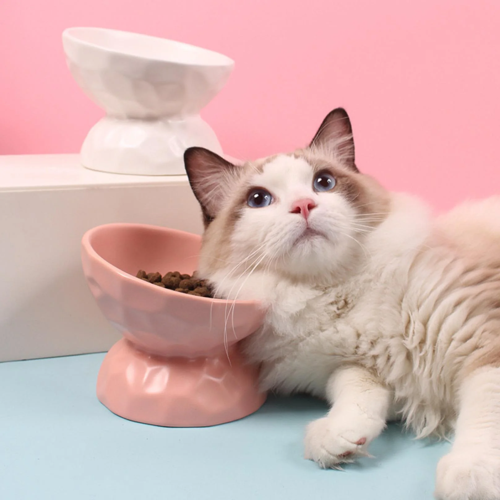 Tilting Ceramic Cat Bowls With Uneven Texture - Image 8