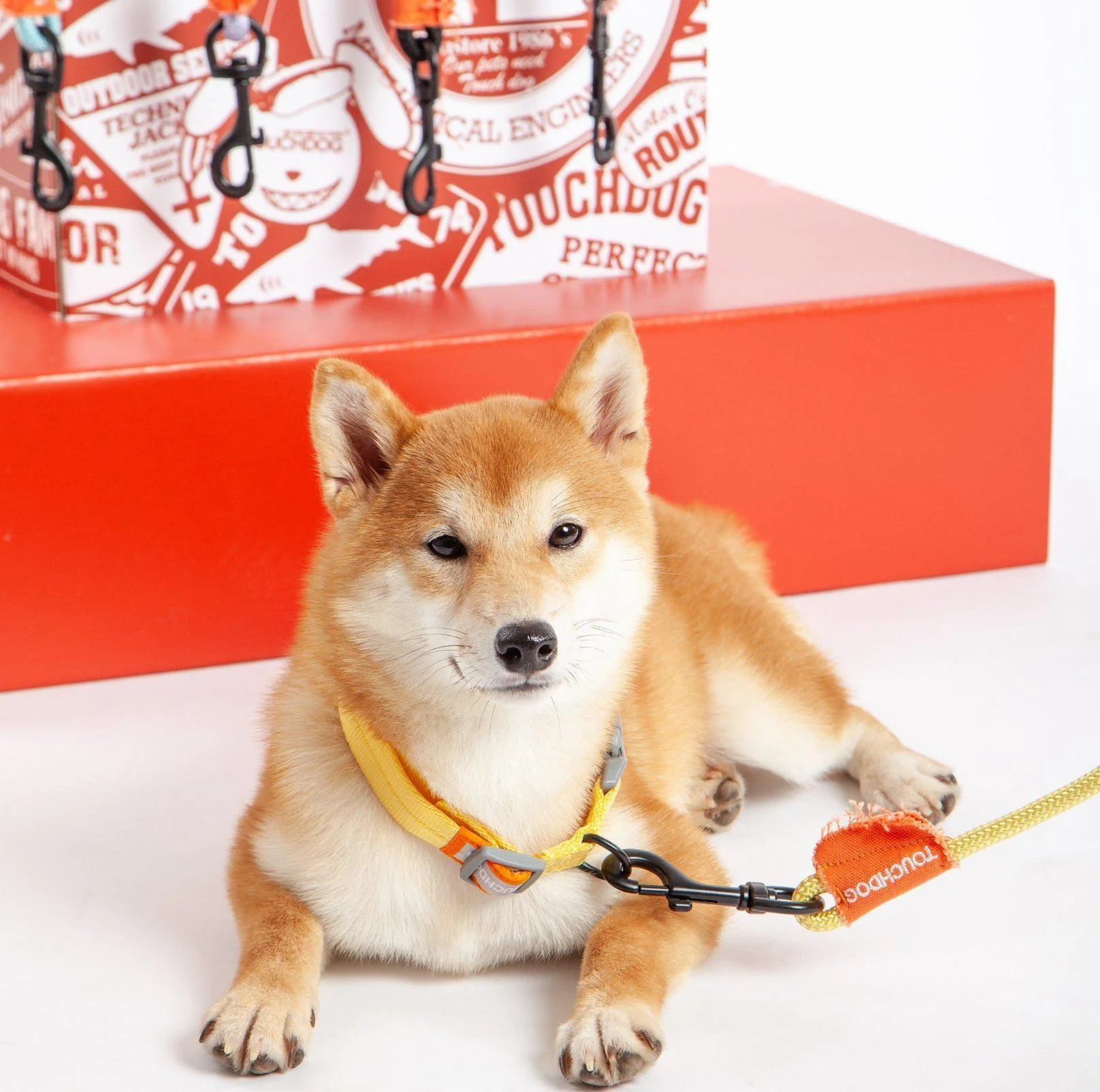 Touchdog Macaroon Colour Scheme Pet Leash Set (Leash + Collar) - Image 10