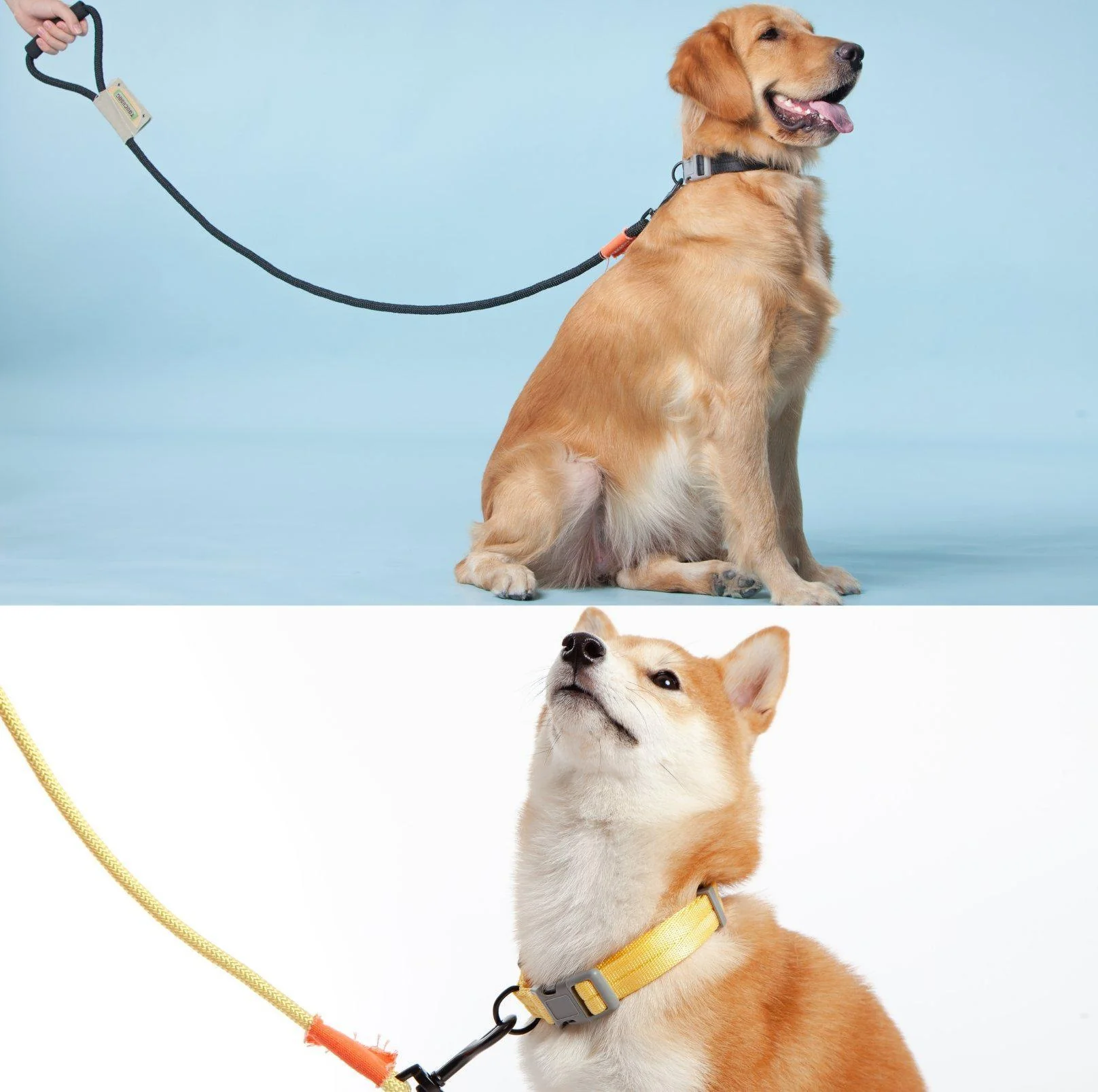 Touchdog Macaroon Colour Scheme Pet Leash Set (Leash + Collar) - Image 8