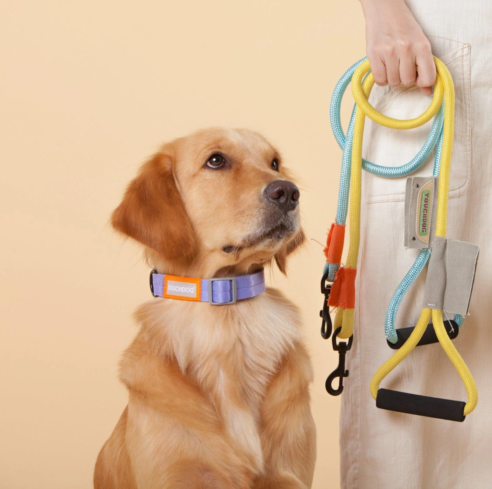 Touchdog Macaroon Colour Scheme Pet Leash Set (Leash + Collar) - Image 9